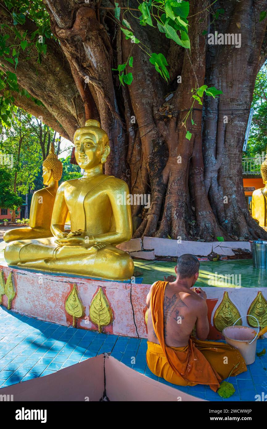 Thailandia, provincia di Trat, isola di Ko Mak, baia di Ao Nid, tempio buddista di Wat Samakeetham Foto Stock