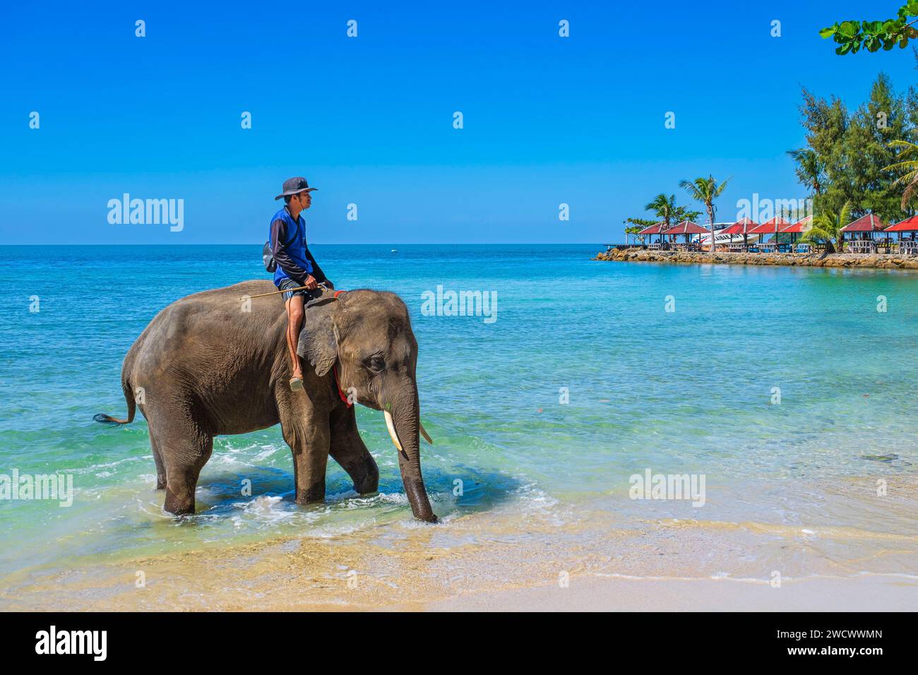 Thailandia, provincia di Trat, isola di Ko Chang, spiaggia di Kai Bae, mahout e il suo elefante Foto Stock