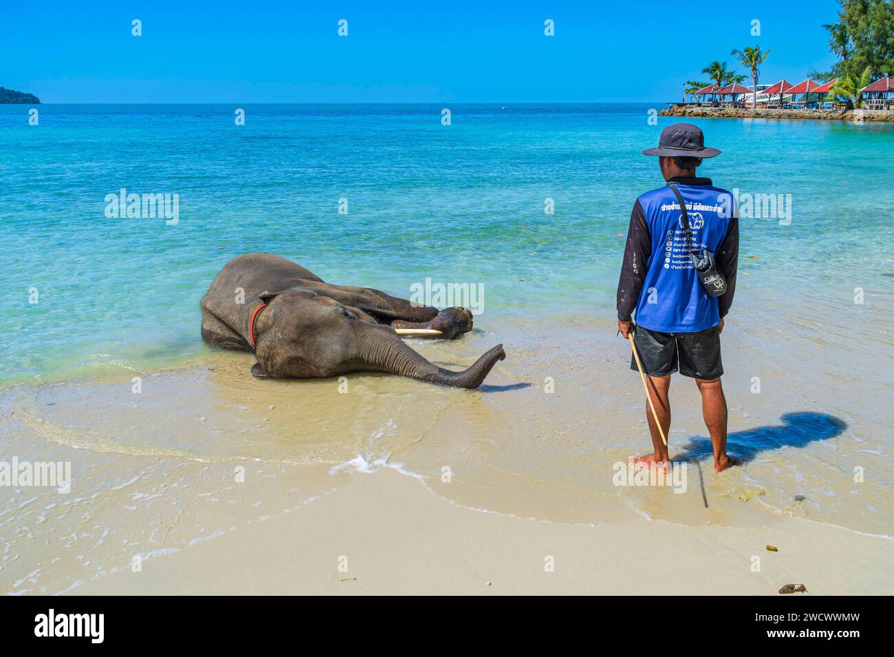 Thailandia, provincia di Trat, isola di Ko Chang, spiaggia di Kai Bae, mahout e il suo elefante Foto Stock