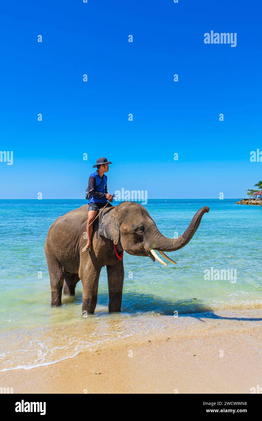 Thailandia, provincia di Trat, isola di Ko Chang, spiaggia di Kai Bae, mahout e il suo elefante Foto Stock