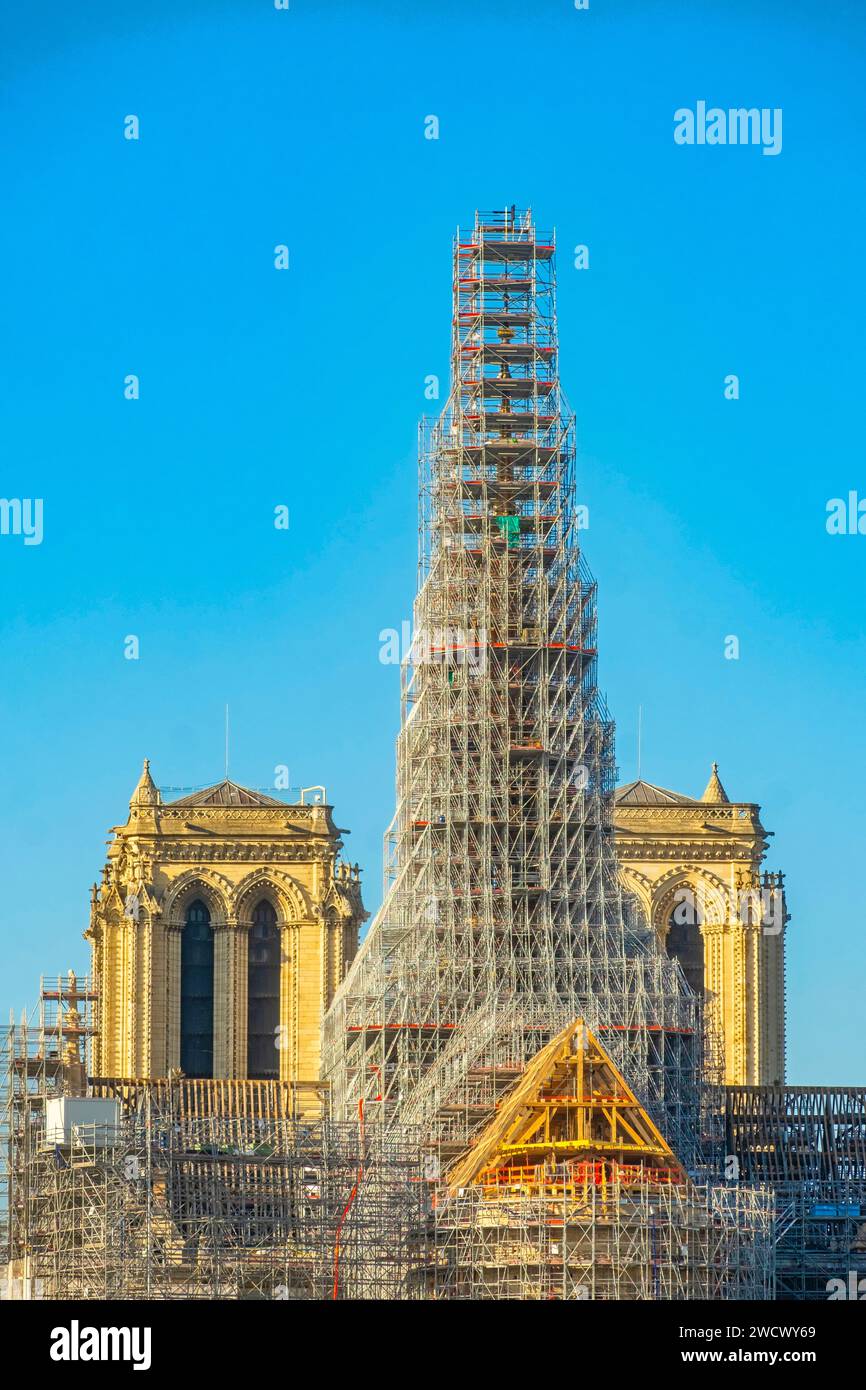 Francia, Parigi, Île de la Cite, cattedrale di Notre Dame de Paris, ponteggi di restauro Foto Stock