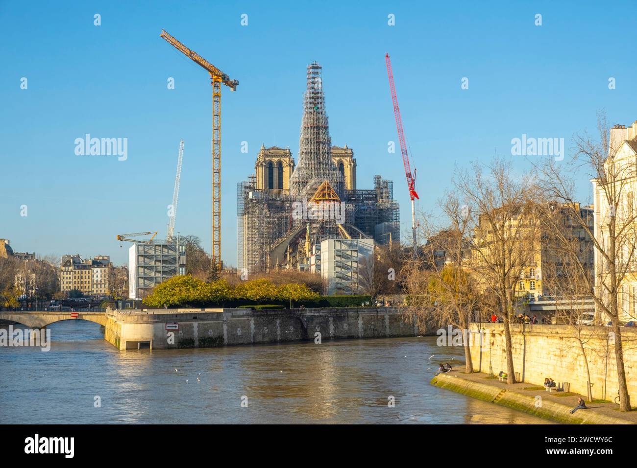Francia, Parigi, rive della Senna, patrimonio dell'umanità dell'UNESCO, Ile de la Cite, cattedrale di Notre Dame de Paris, impalcature di restauro Foto Stock