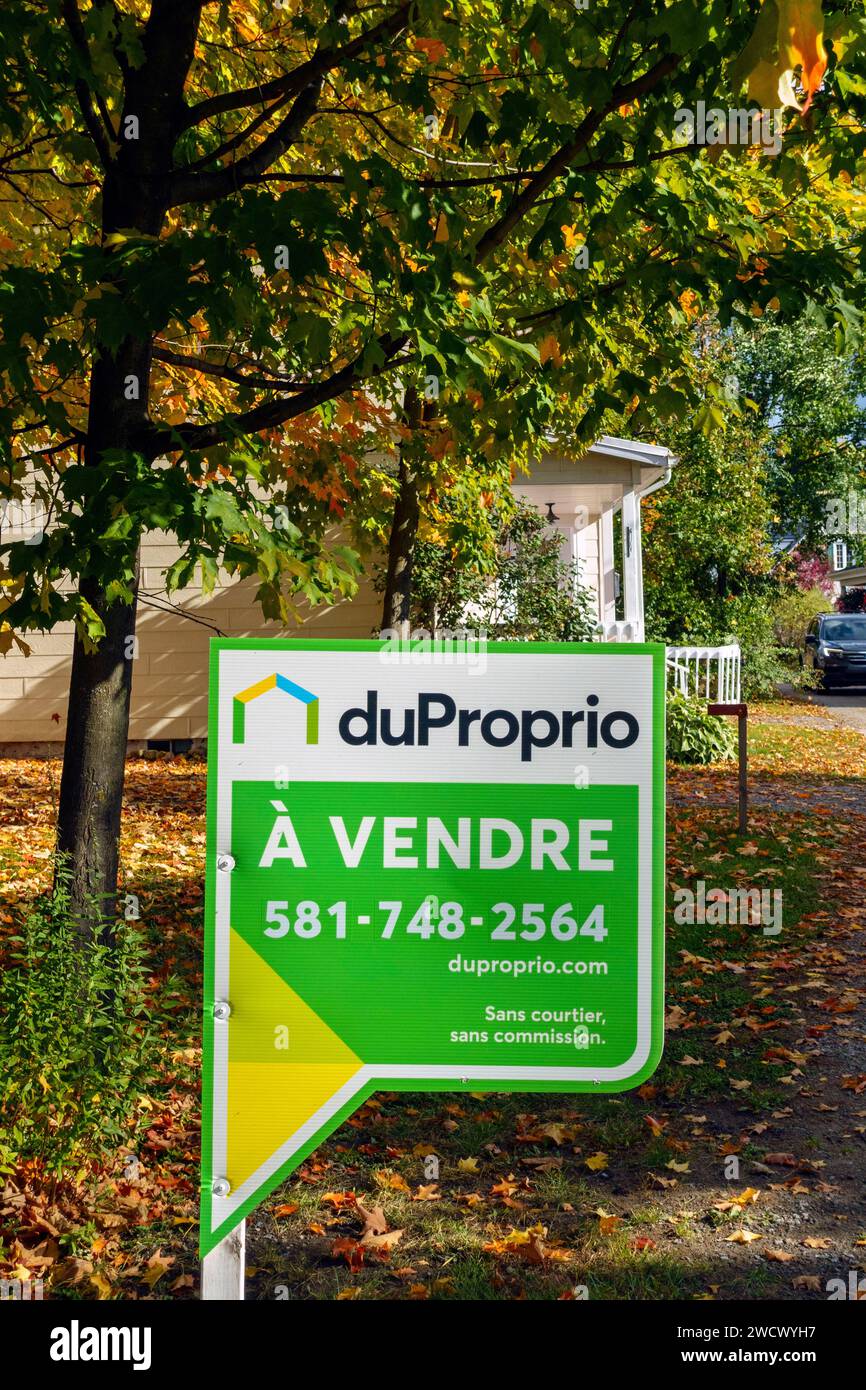 Canada, provincia di Quebec, Chemin du Roy, regione del Quebec, il circuito storico di Vieux-Chemin a Cap-Santé in autunno con decorazioni di Halloween, proprietà in vendita Foto Stock