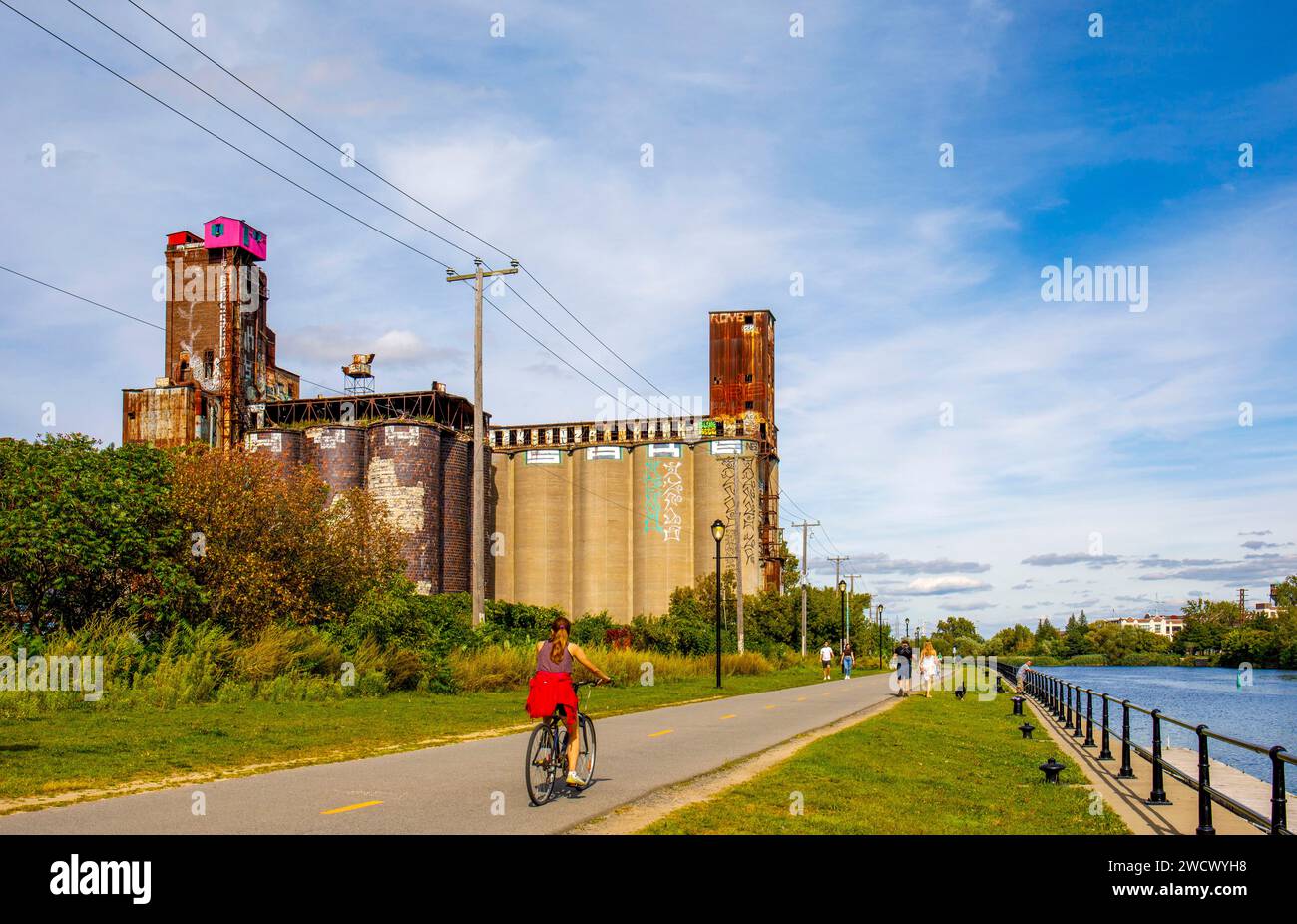 Canada, provincia di Quebec, Montreal, i dintorni del canale Lachine nella parte occidentale della città, i silos dell'ex fabbrica Canada Malting Co Foto Stock