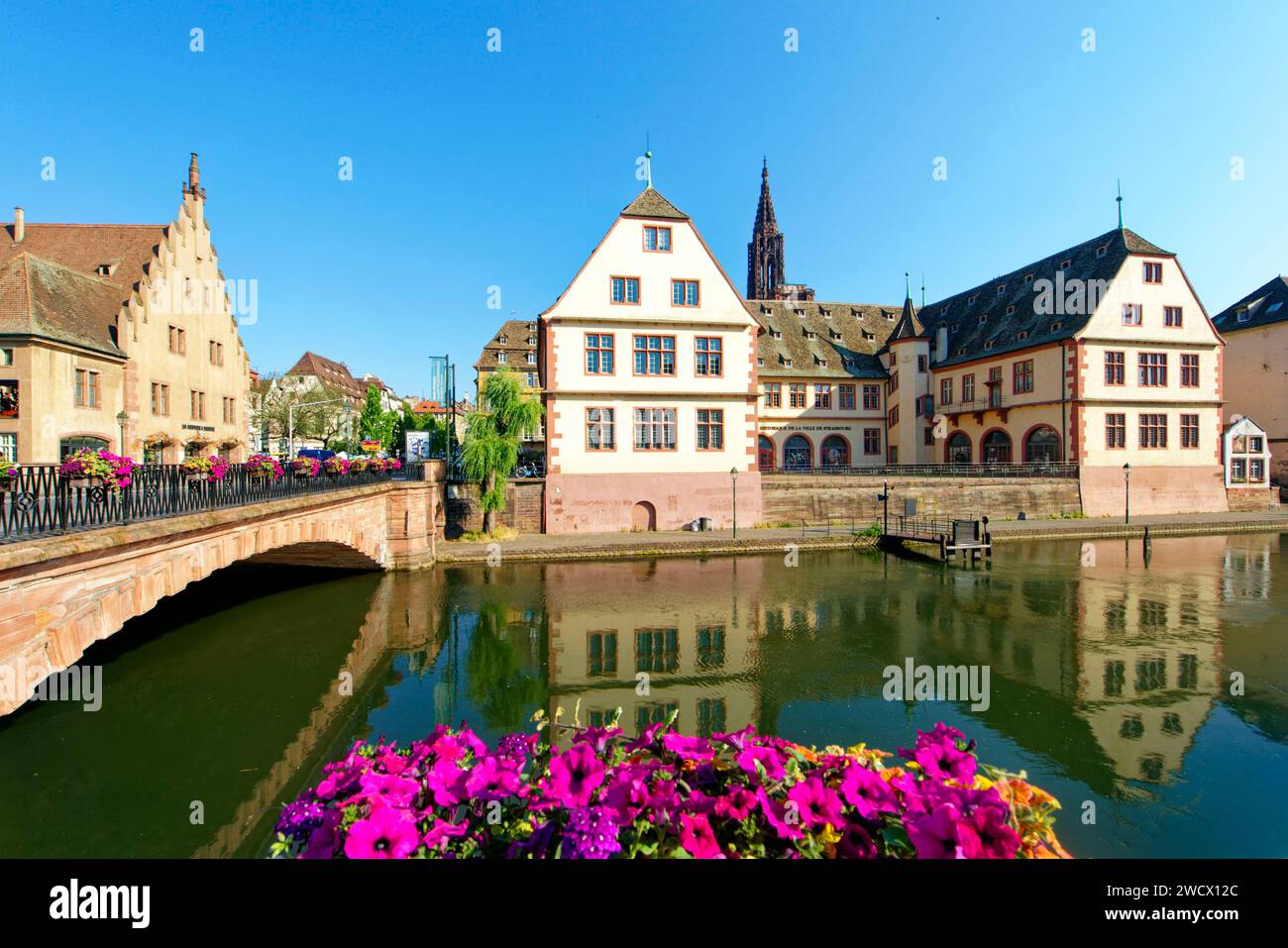 Francia, Bas Rhin, Strasburgo, città vecchia elencati come patrimonio mondiale dall' UNESCO, Pont du Corbeau, Museo storico di Strasburgo e la Cattedrale Foto Stock