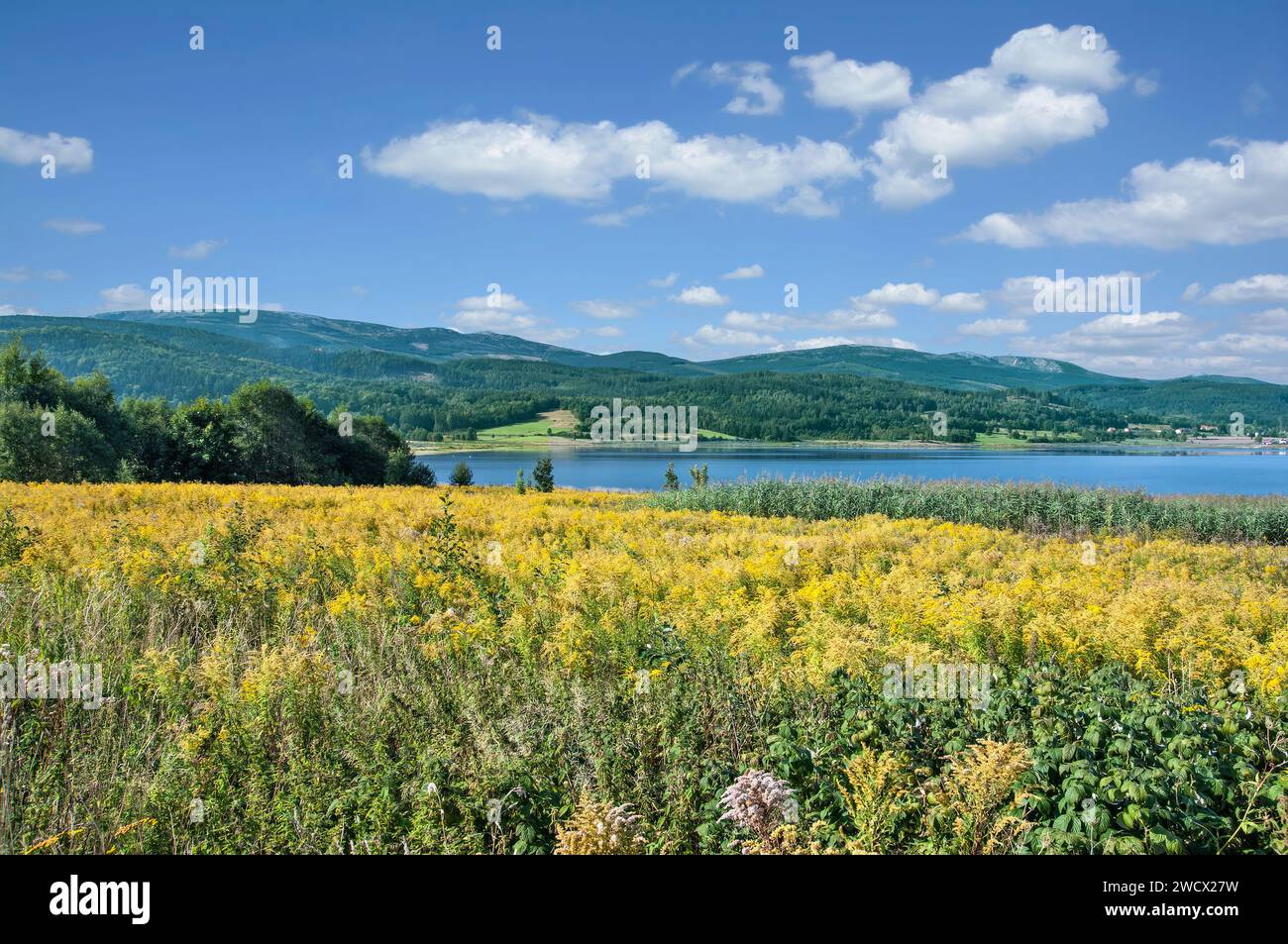 Vista di Snezka resp.Sniezka a Krkonose, Repubblica Ceca e Polonia Foto Stock