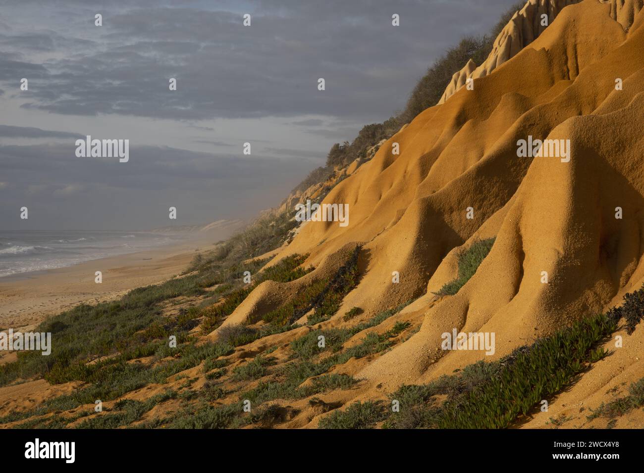 Portogallo, Alentejo, spiaggia di Gale Fontainhas, scogliere fossili ocra risalenti a cinque milioni di anni fa con forme erose che si affacciano sull'Oceano Atlantico Foto Stock