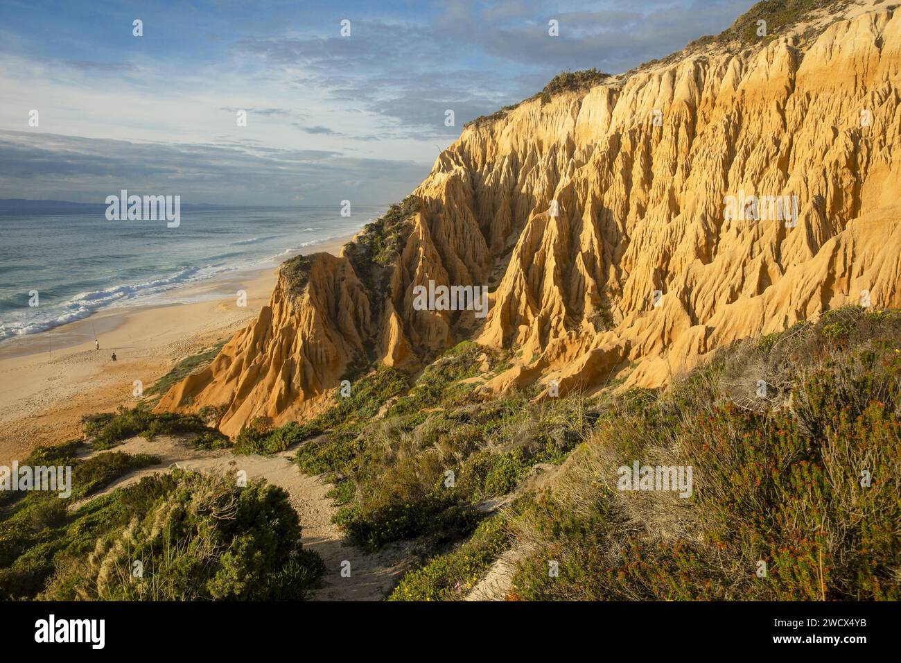 Portogallo, Alentejo, spiaggia di Gale Fontainhas, scogliere fossili ocra risalenti a cinque milioni di anni fa con forme erose che si affacciano su una lunga spiaggia e accolgono i pescatori di fronte all'Oceano Atlantico Foto Stock