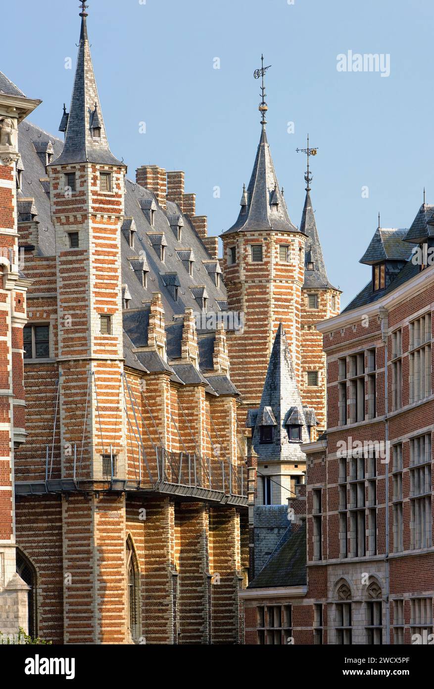 Edificio Vleeshuis, Vleeshouwersstraat, Jordaenskaai, Anversa, Belgio, Europa Foto Stock