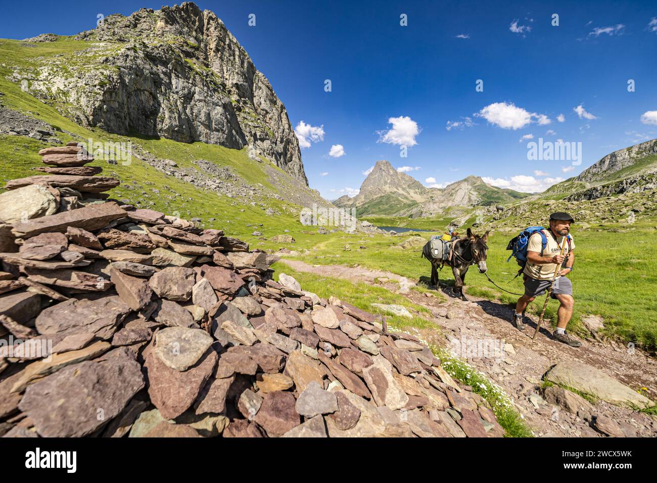 Francia, Pirenei Atlantici, Béarn, valle dell'Ossau, Parco Nazionale dei Pirenei, trekking con un asino, PIC du Midi d'Ossau sullo sfondo Foto Stock