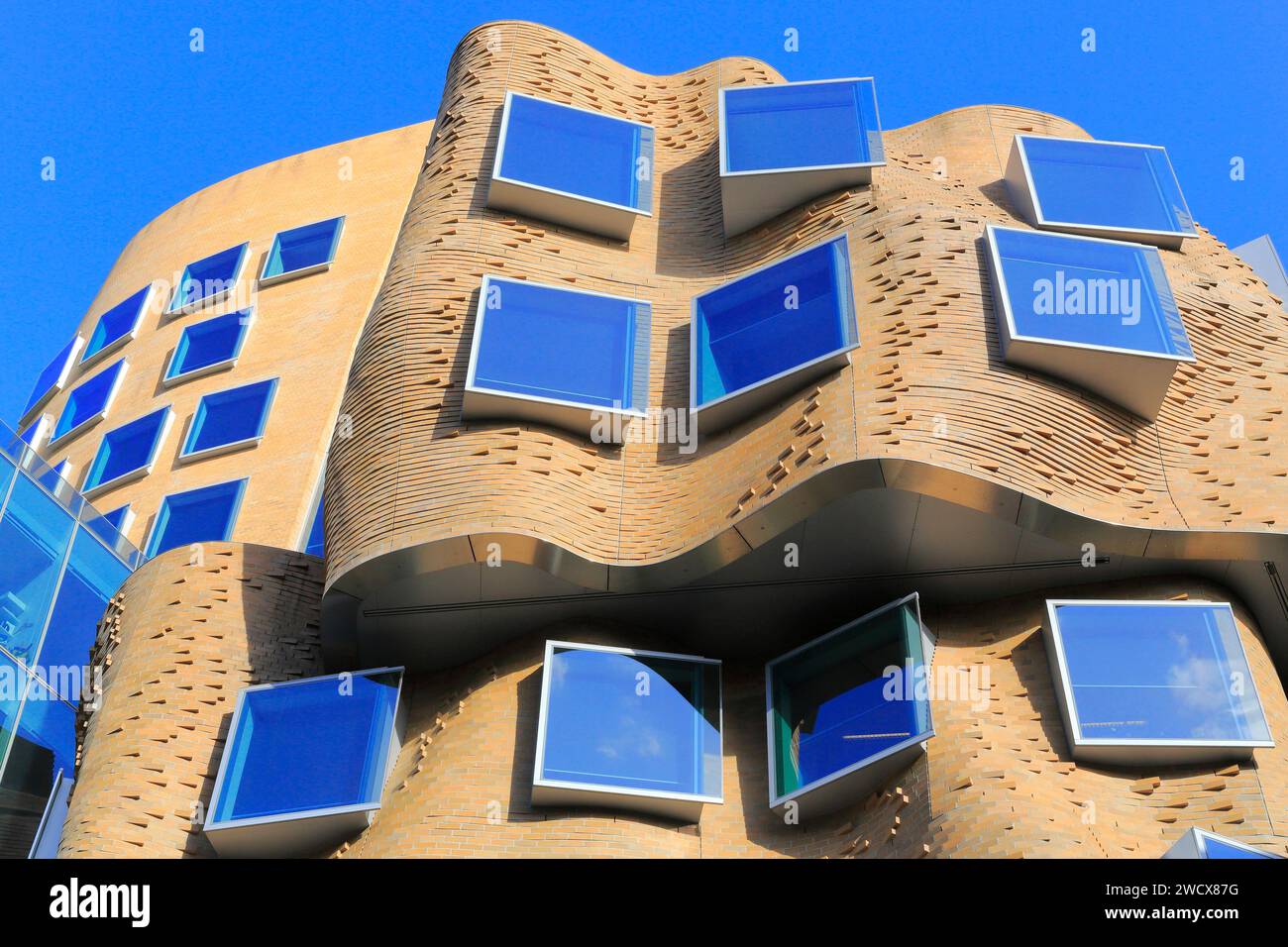 Australia, nuovo Galles del Sud, Sydney, University of Technology Sydney (UTS), Dr Chau Chak Wing Building (2014) progettato dall'architetto Frank Gehry Foto Stock