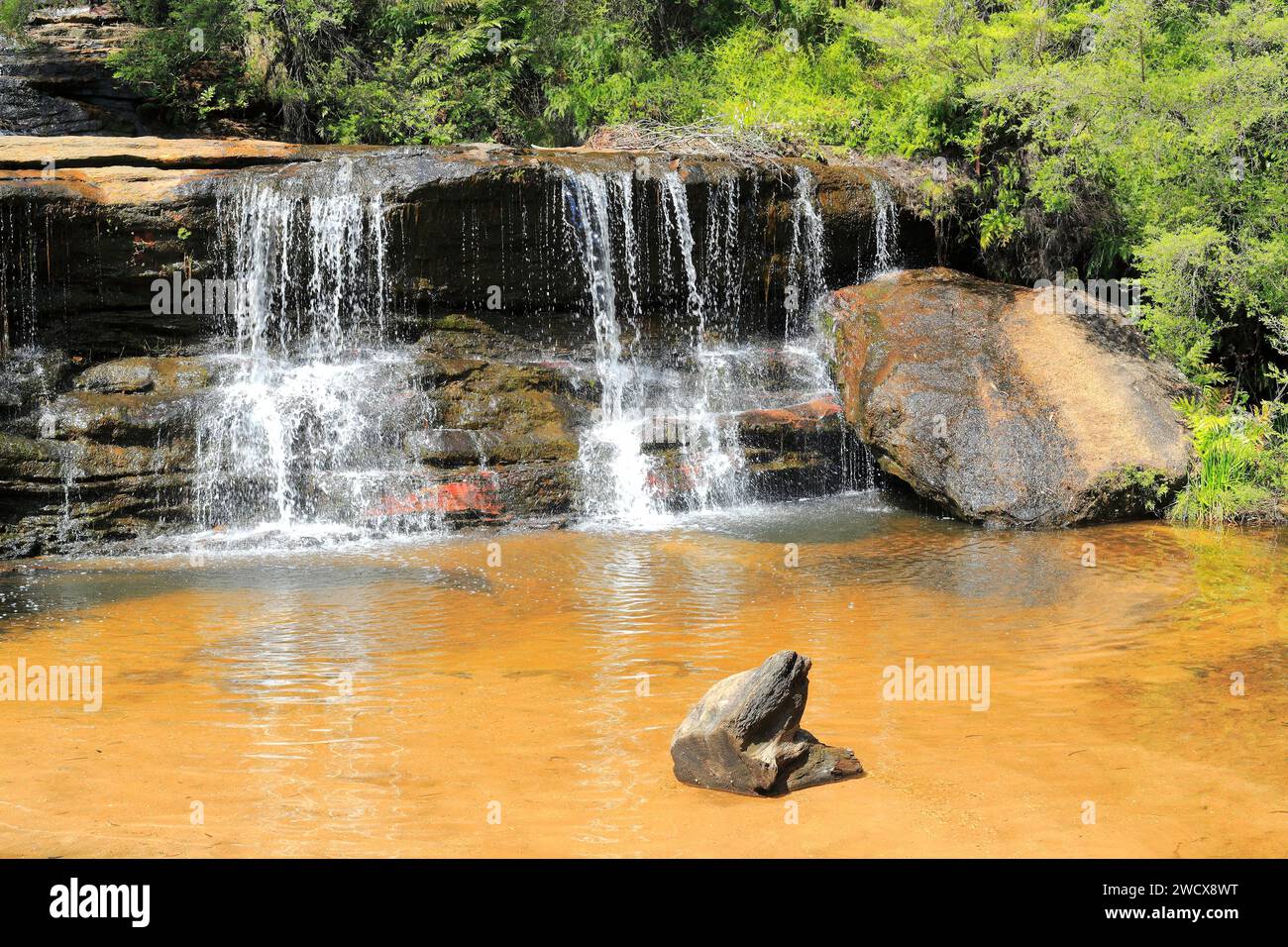 Australia, nuovo Galles del Sud, Blue Mountains dichiarate Patrimonio dell'Umanità dall'UNESCO, Blue Mountains National Park, Katoomba, Wentworth Falls, cascata Foto Stock
