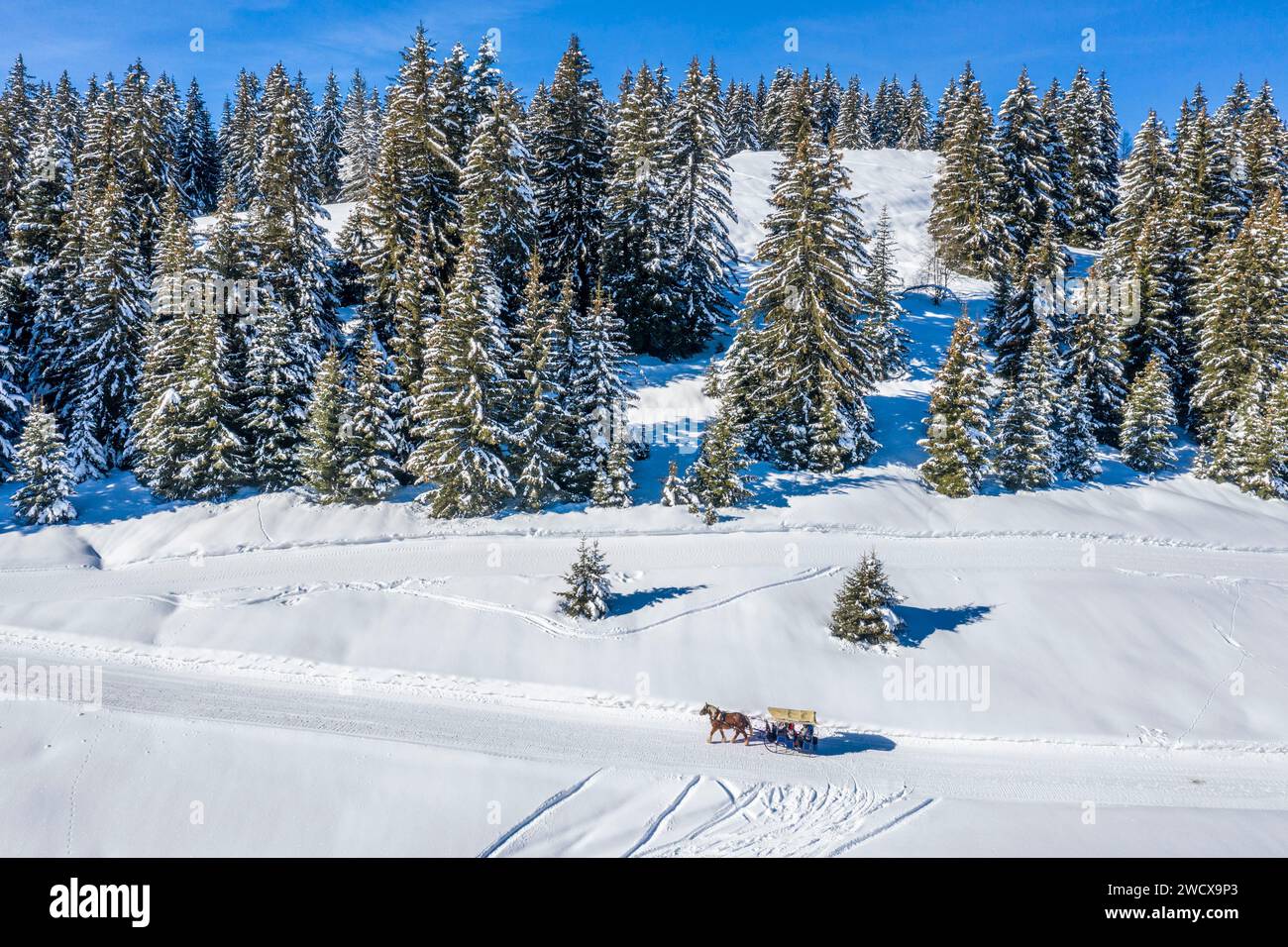 Francia, Savoia, Hauteluce, station de Sports d'hiver Les Saisies, Promenade en ski-joering (vista aerea) Foto Stock