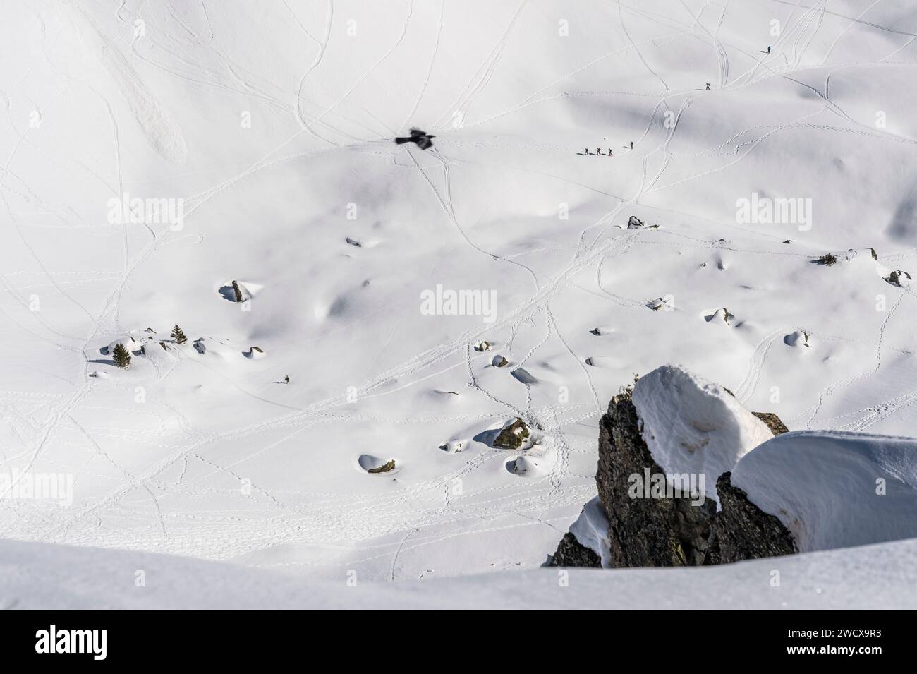 Francia, Isere, station de Sports d'hiver de Chamrousse, massif de Belledonne, randonnée en raquettes Foto Stock