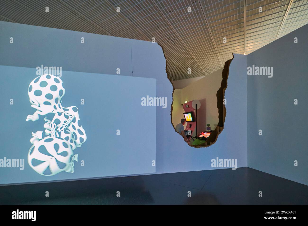 Francia, Mosella, Metz, Center Pompidou Metz, esposizione Worldbuilding, videogiochi e arte nell'era digitale Foto Stock