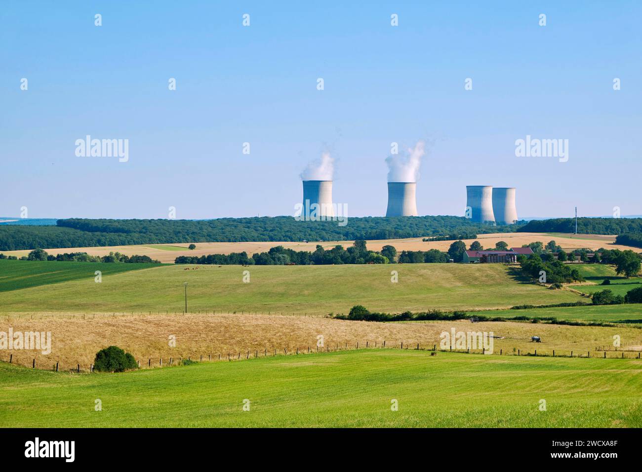 Francia, Mosella, Cattenom, la centrale nucleare di Cattenom sulle rive della Mosella tra Thionville e Treviri ha quattro reattori ad acqua pressurizzata Foto Stock