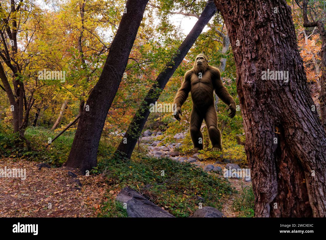 Bigfoot (Sasquatch) nella foresta Foto Stock