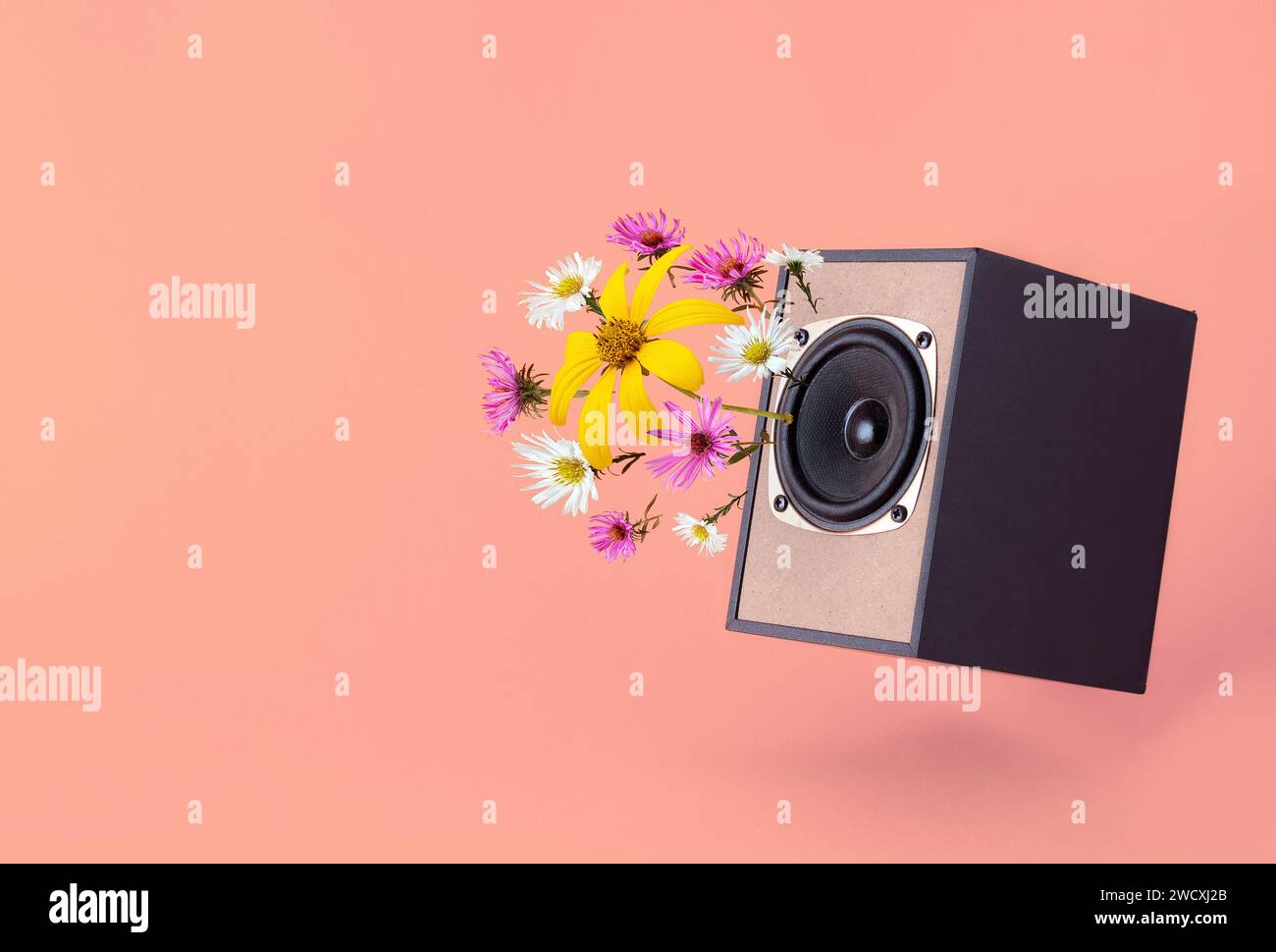 Altoparlante audio con fiori a molla su sfondo corallino. Design minimale a molla. Suoni di primavera e idee nuove. Foto Stock