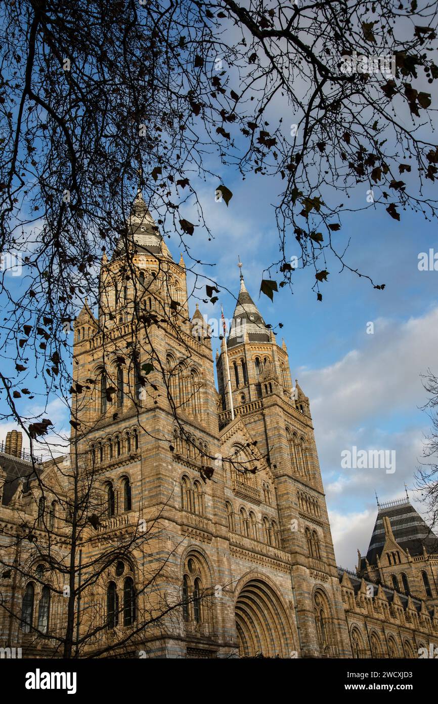 Museo di storia naturale, Londra Foto Stock