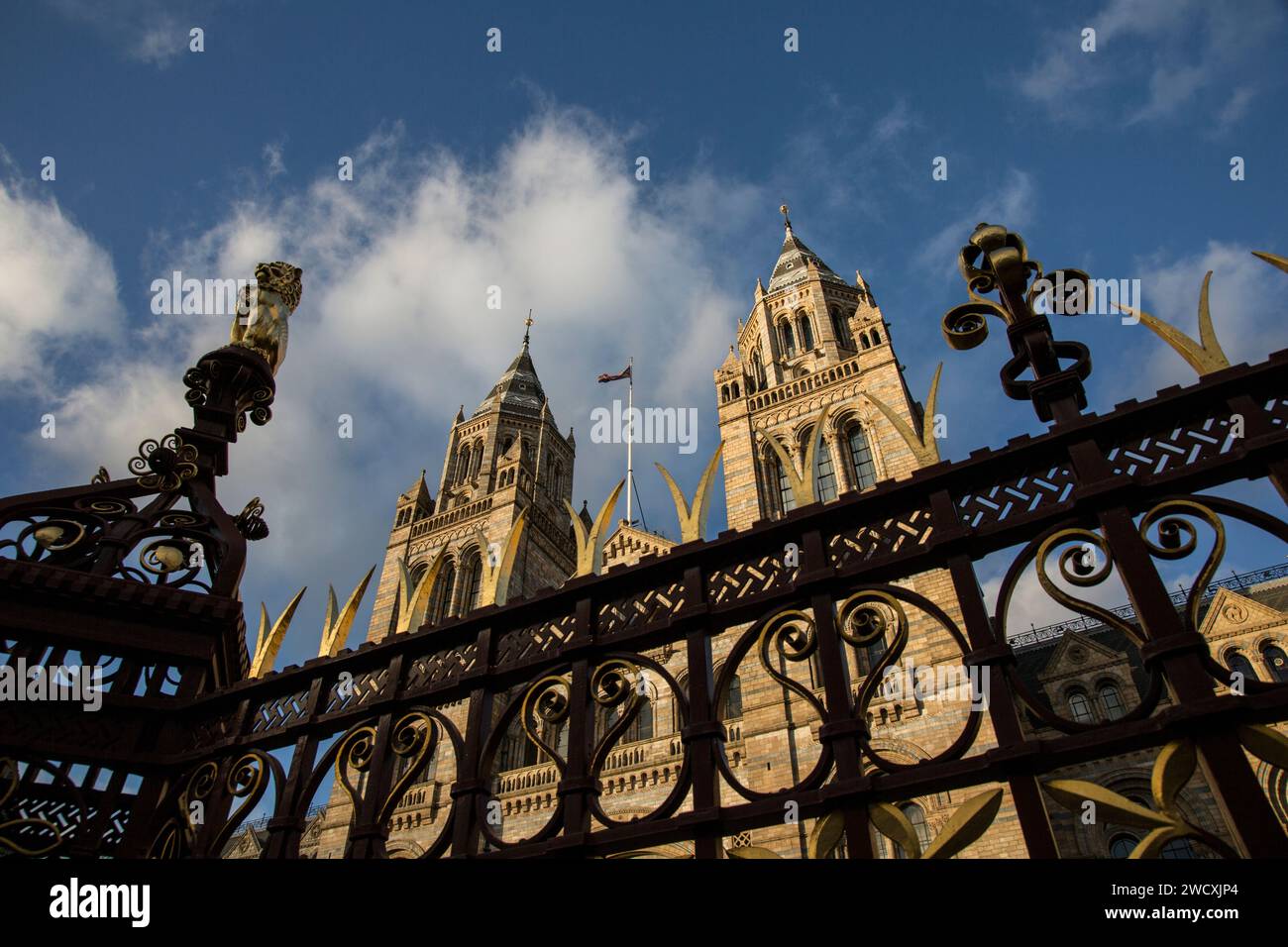 Museo di storia naturale, Londra Foto Stock