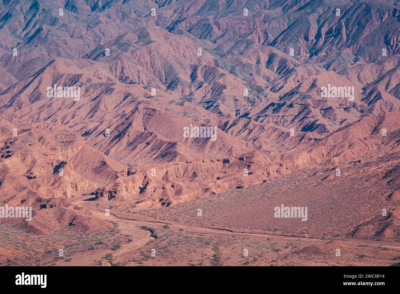 La bellezza aspra del terreno montuoso argentino (Salta, Argentina) Foto Stock