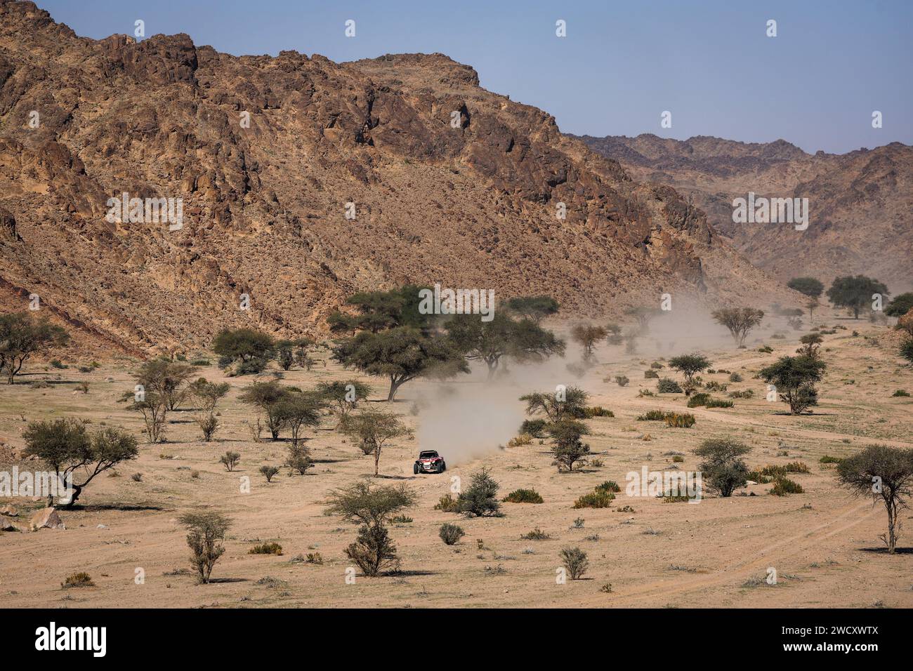 343 HINKELMANN Gunter (reggiseno), BIANCHINI Fabrizio (reggiseno), Team BBR, Taurus T3 Max, Motul, FIA Challenger, azione durante la fase 10 della Dakar 2024 il 17 gennaio 2024 intorno ad al Ula, Arabia Saudita Foto Stock