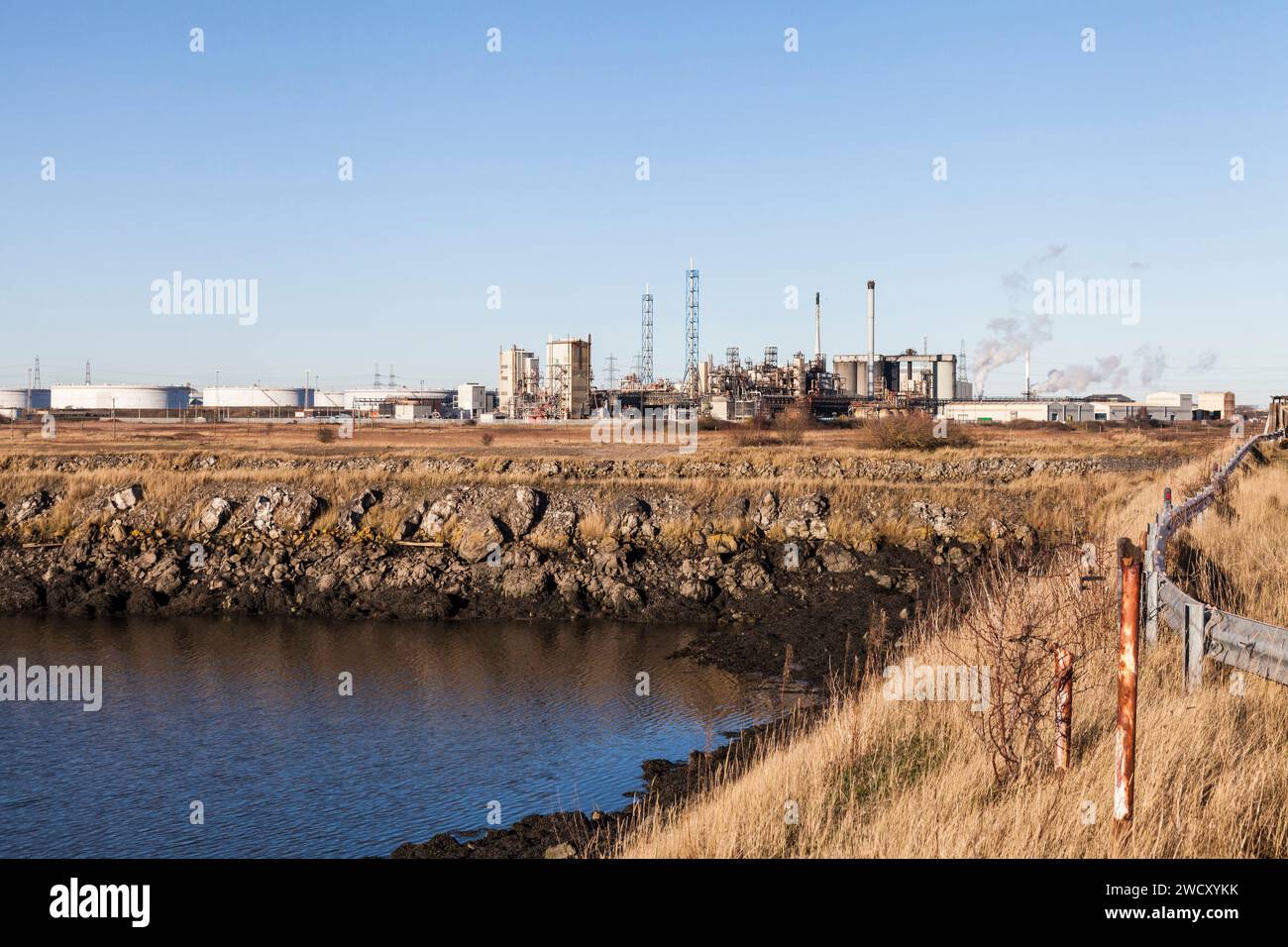 Paradiso della fauna selvatica in un paesaggio industriale a Greatham, Seal Sands, Hartlepool, Inghilterra, Regno Unito Foto Stock