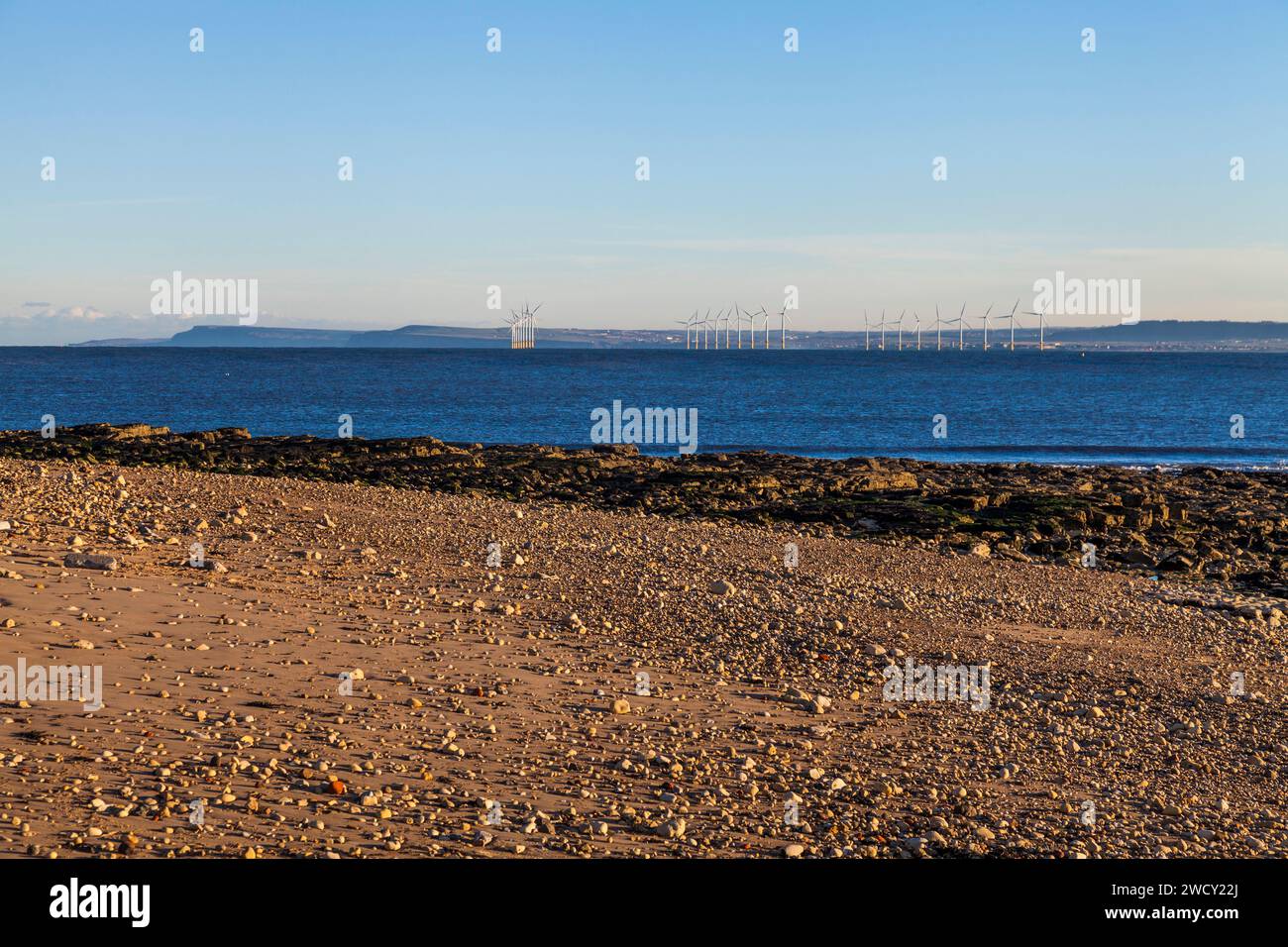 Le turbine eoliche offshore della costa di Hartlepool, Inghilterra, Regno Unito, con spiaggia rocciosa in primo piano Foto Stock