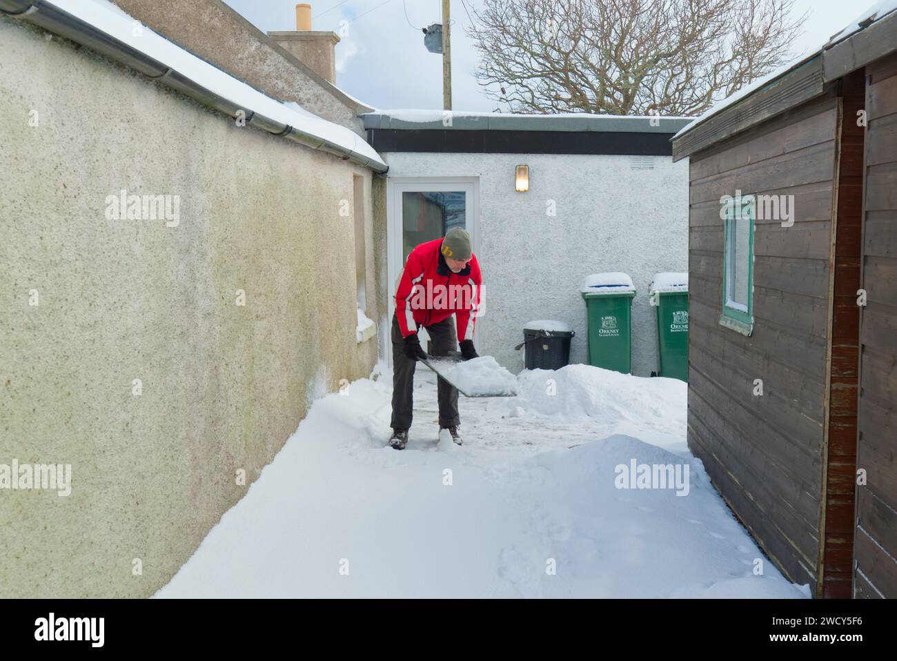 Pulire la neve dal sentiero dietro casa, Orcadi, gennaio 2024 Foto Stock