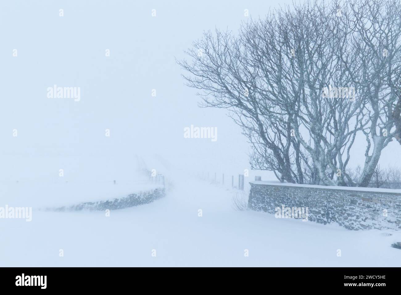 Tormenta di neve alle Orcadi, 17 gennaio 2024 Foto Stock