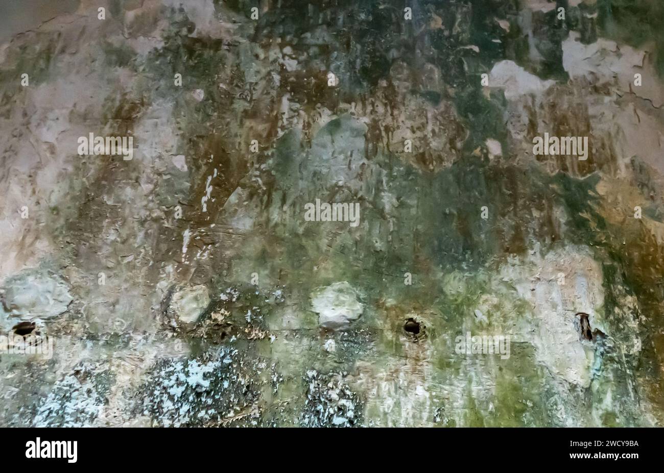 Muffa a parete, muffa a parete, parete stampata, parete stampata. La parete interna del bagno turco o hammam con muffa verdastra ed erosione, pareti di muffa trascurate Foto Stock