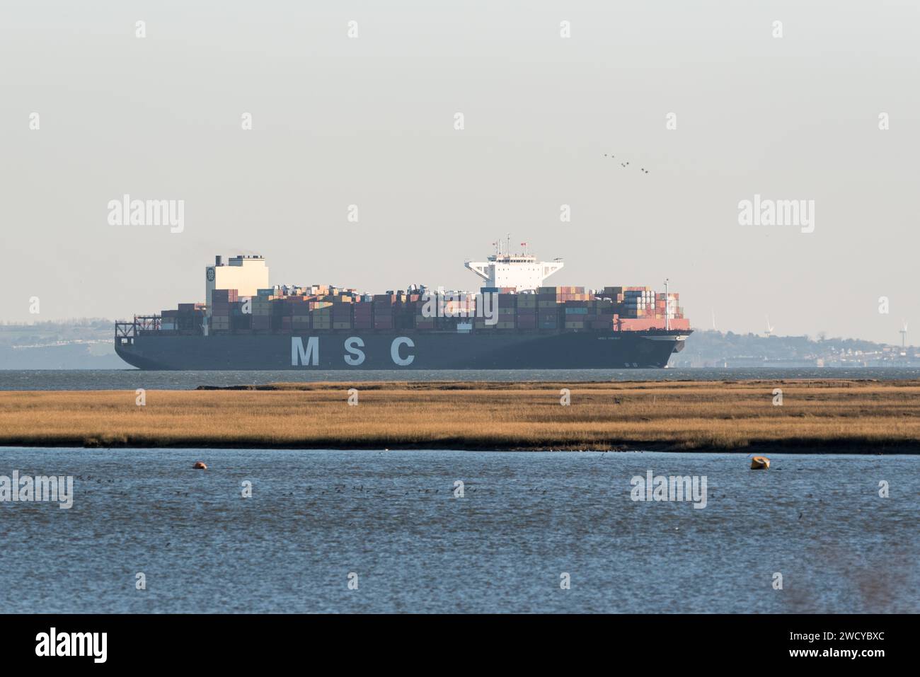 Nave portacontainer MSC Virgo che entra nel Tamigi Foto Stock