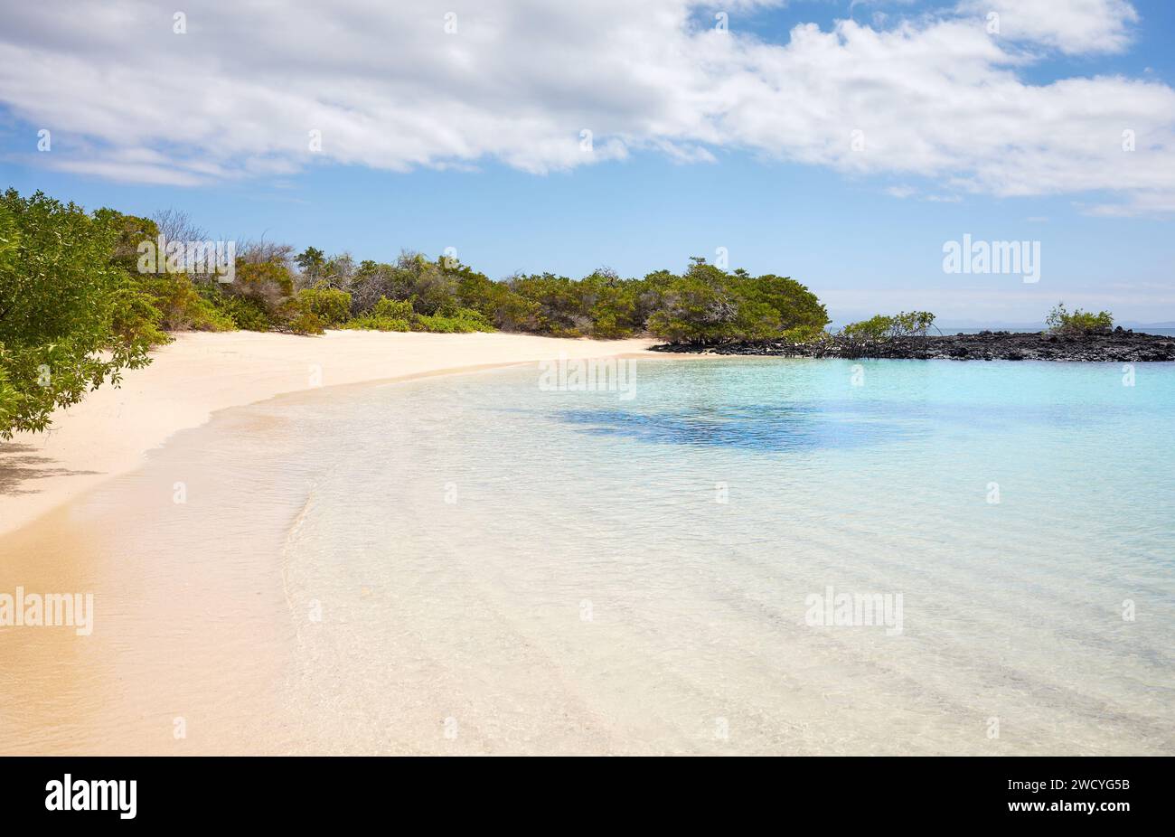Foto di una spiaggia incontaminata, Isole Galapagos, Ecuador. Foto Stock