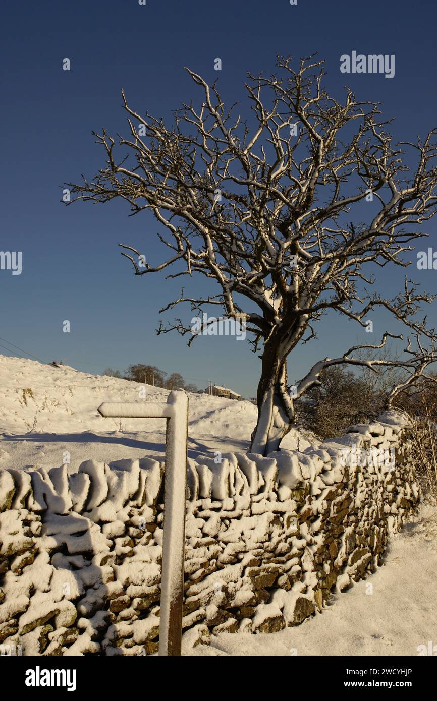 Winter Wonderland innevato su Whitehill Lane, Lothersdale, The Yorkshire Dales, North Yorkshire, Inghilterra, REGNO UNITO Foto Stock