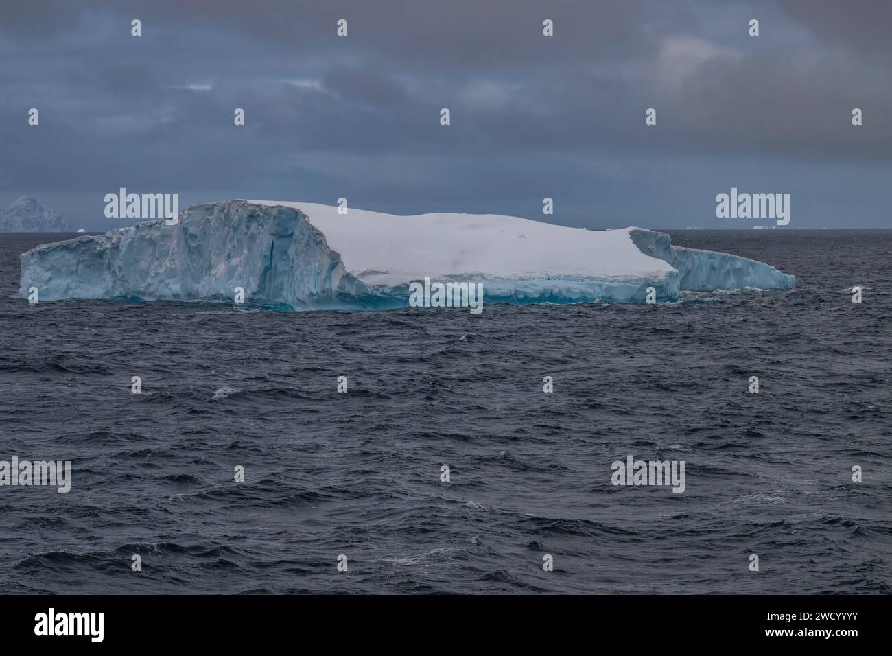 Iceberg Brialmont Cove, Antartide, penisola Antartica, numerosi bergs a causa della rottura della piattaforma glaciale antartica, scolpita e sagomata dall'oceano Foto Stock