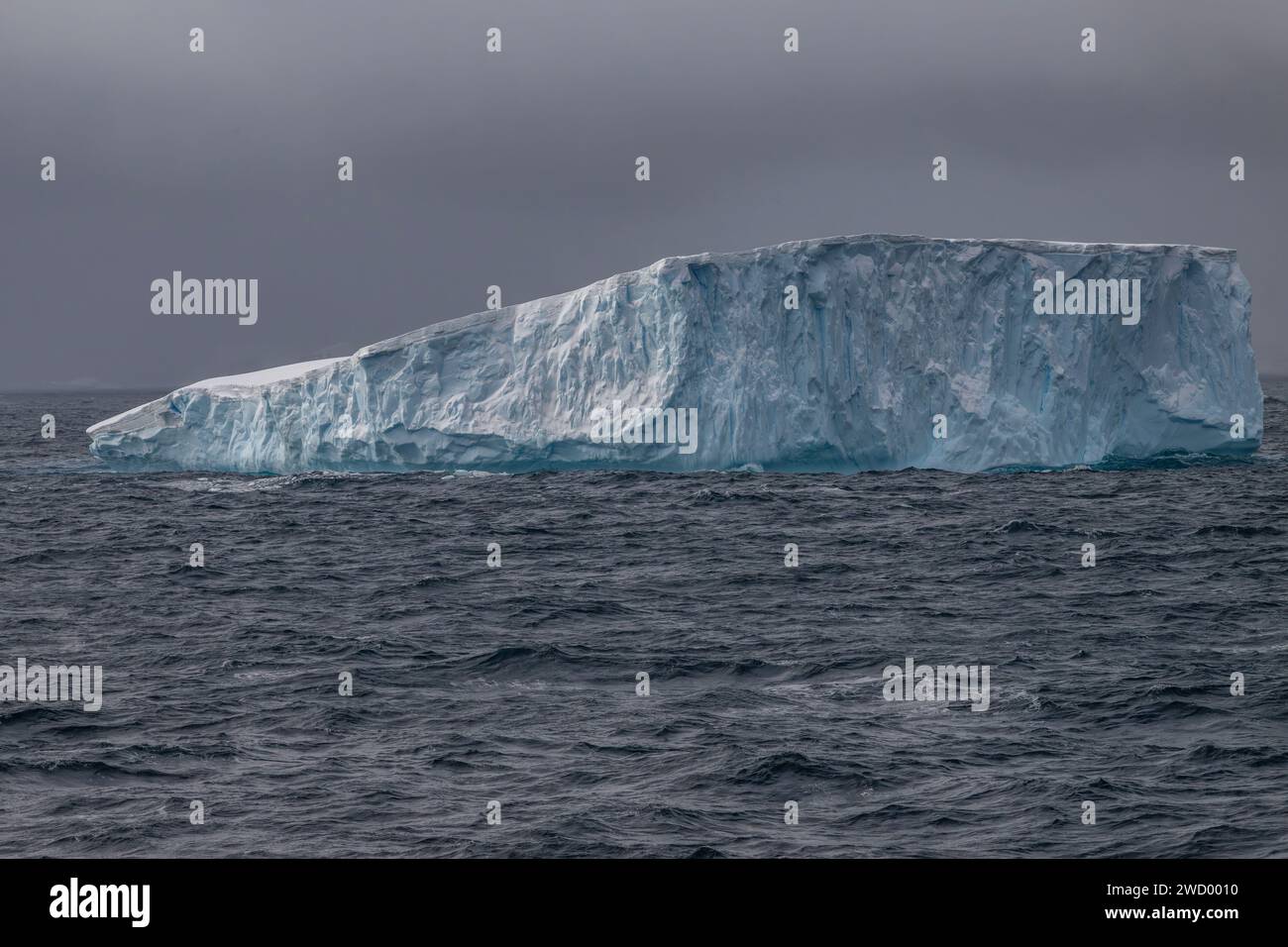 Iceberg Brialmont Cove, Antartide, penisola Antartica, numerosi bergs a causa della rottura della piattaforma glaciale antartica, scolpita e sagomata dall'oceano Foto Stock