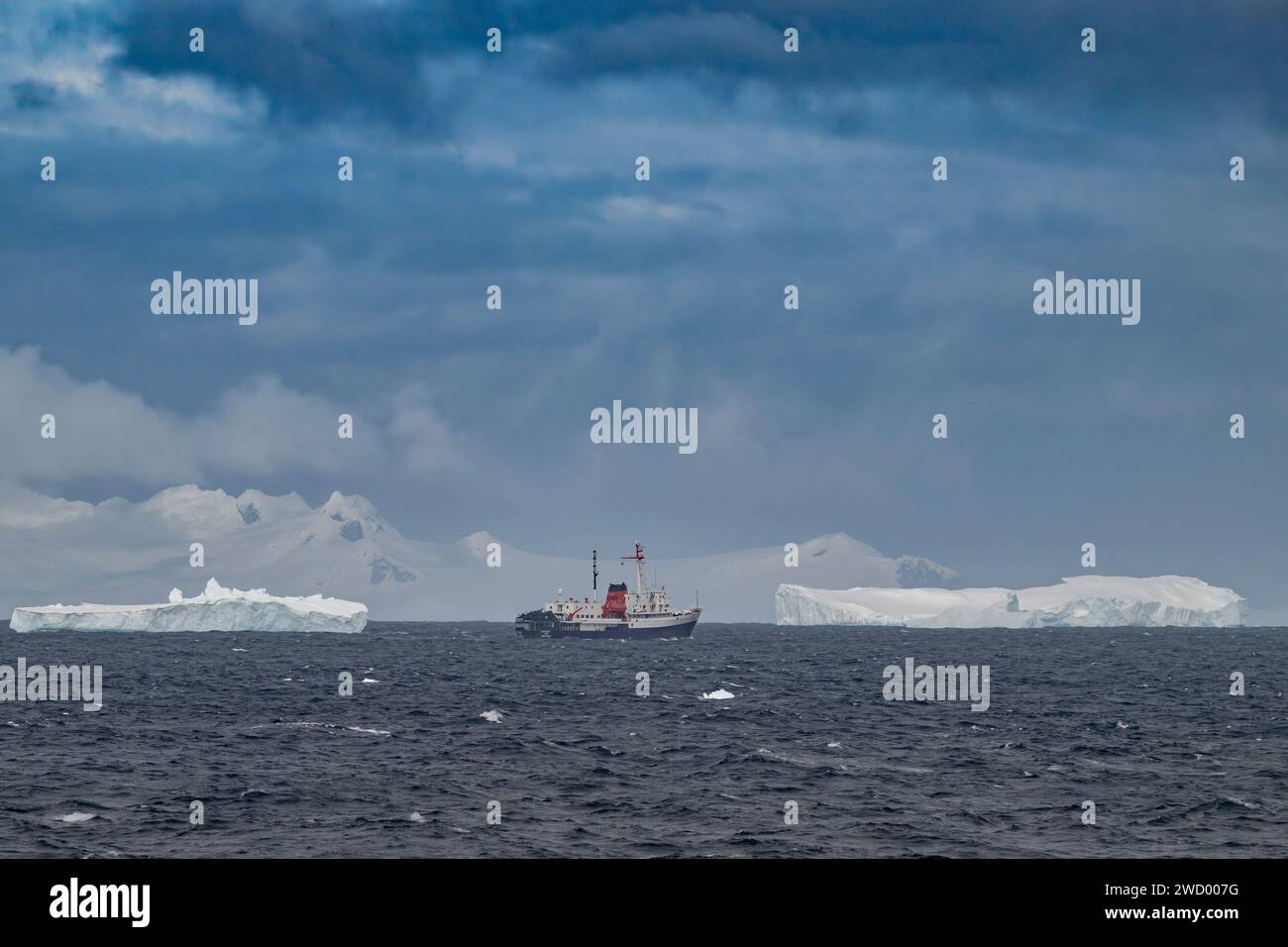 Nave e iceberg Brialmont Cove, Antartide, penisola antartica, numerosi babordi a causa della rottura della piattaforma glaciale antartica, scolpita e sagomata dall'oceano Foto Stock