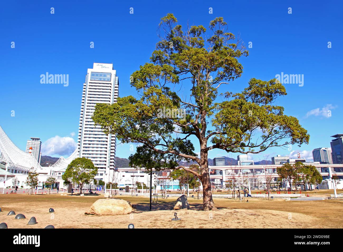 Meriken Park è un parco pubblico vicino all'area di Kobe Harborland, Kobe, prefettura di Hyogo, Giappone. Foto Stock