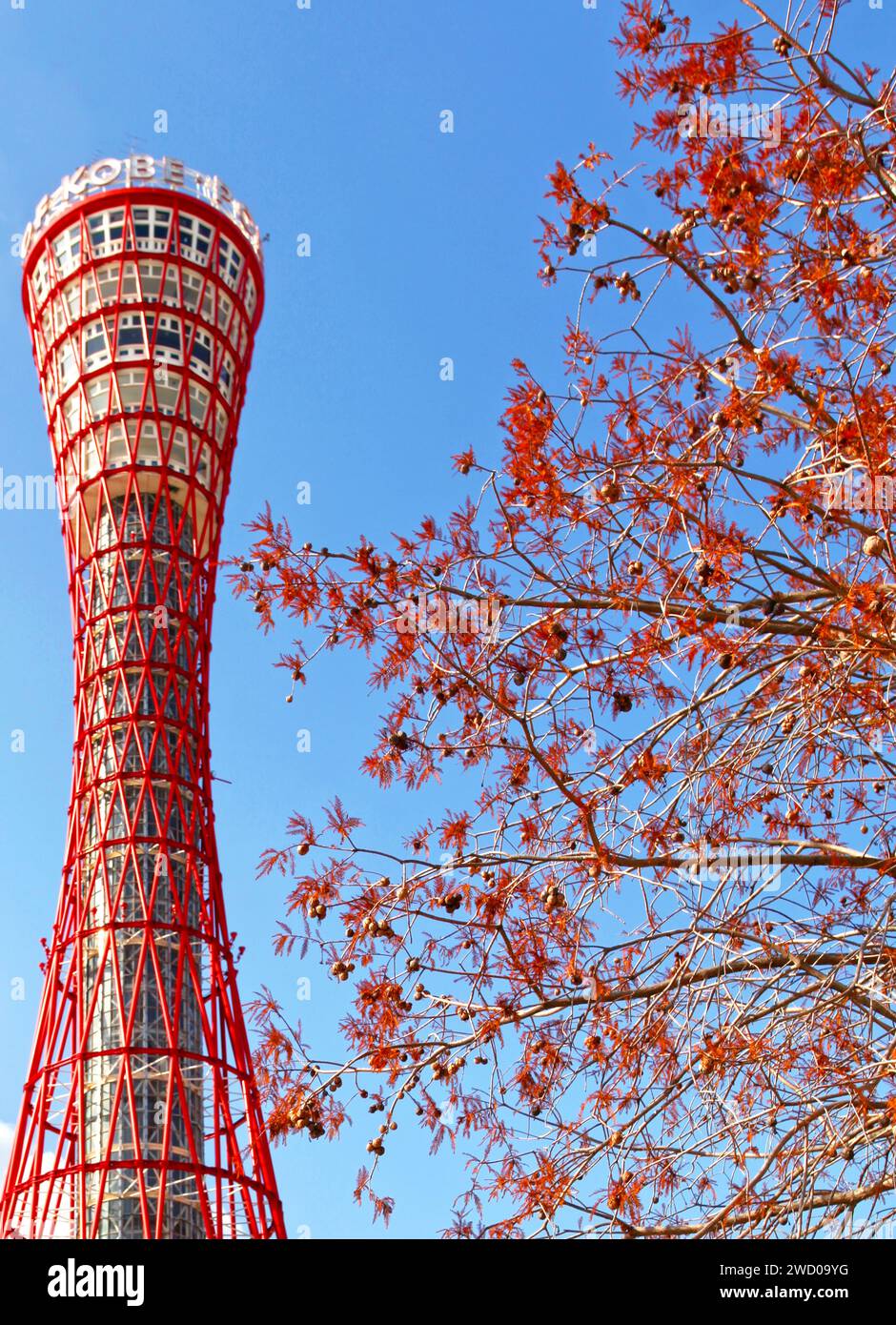 Kobe Port Tower nella città di Kobe, in Giappone, con un cielo azzurro. Foto Stock