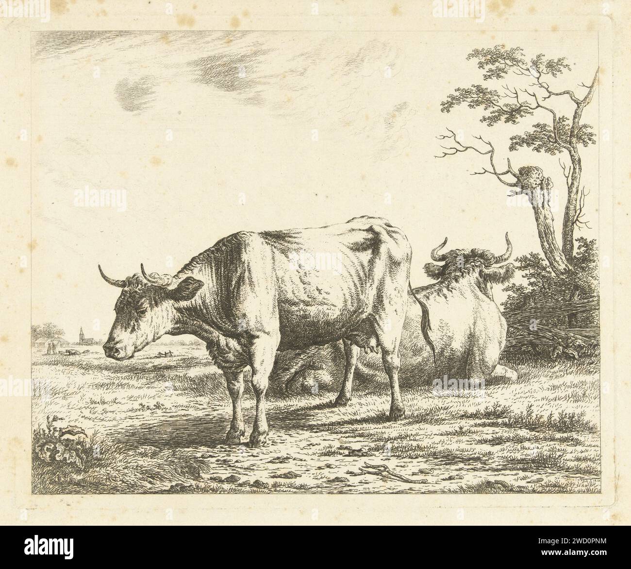 Due mucche a Weide, Johannes van Cuylenburgh, 1820 stampa della mucca da incisione in carta olandese Foto Stock