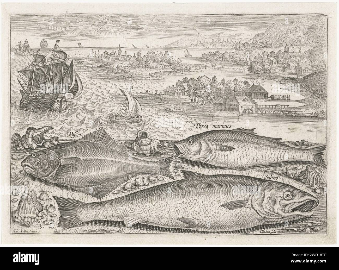 Tre pesci sulla spiaggia, Adriaen Collaert, 1627 - 1636 stampano Una lingua, un salmone e un branzino sulla spiaggia con alcune conchiglie. Sullo sfondo il mare e alcune navi. La stampa fa parte di una serie con il pesce come soggetto. Carta di Anversa incisione pesci ossei: Abasso. pesci ossei: salmone. pesci ossei: sogliola. mare (seascape) Foto Stock