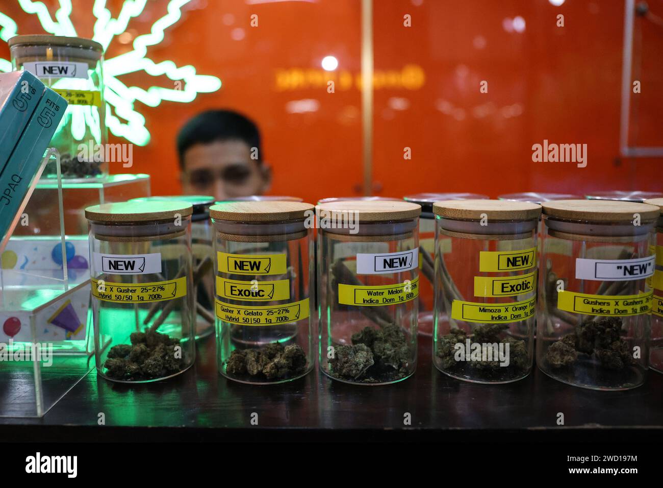 Bangkok, Thailandia. 17 gennaio 2024. Cannabis in vendita in un dispensario di cannabis nel distretto di Nana a Bangkok, Thailandia, 17 gennaio 2024. Il nuovo governo thailandese ha introdotto un disegno di legge per modificare l'attuale legislazione sulla cannabis al fine di vietare l'uso ricreativo della cannabis dopo che il paese ha depenalizzato la cannabis ricreativa nel 2022. (Immagine di credito: © Valeria Mongelli/ZUMA Press Wire) SOLO USO EDITORIALE! Non per USO commerciale! Foto Stock