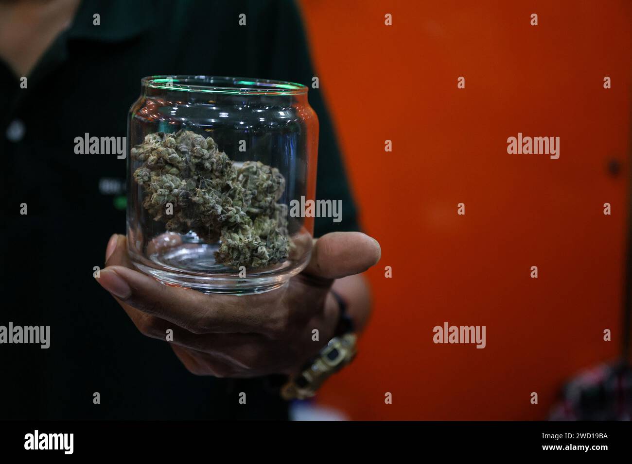 Bangkok, Thailandia. 17 gennaio 2024. Un venditore tiene un barattolo contenente cannabis in vendita in un dispensario di cannabis nel distretto di Nana a Bangkok, in Thailandia, il 17 gennaio 2024. Il nuovo governo thailandese ha introdotto un disegno di legge per modificare l'attuale legislazione sulla cannabis al fine di vietare l'uso ricreativo della cannabis dopo che il paese ha depenalizzato la cannabis ricreativa nel 2022. (Immagine di credito: © Valeria Mongelli/ZUMA Press Wire) SOLO USO EDITORIALE! Non per USO commerciale! Foto Stock
