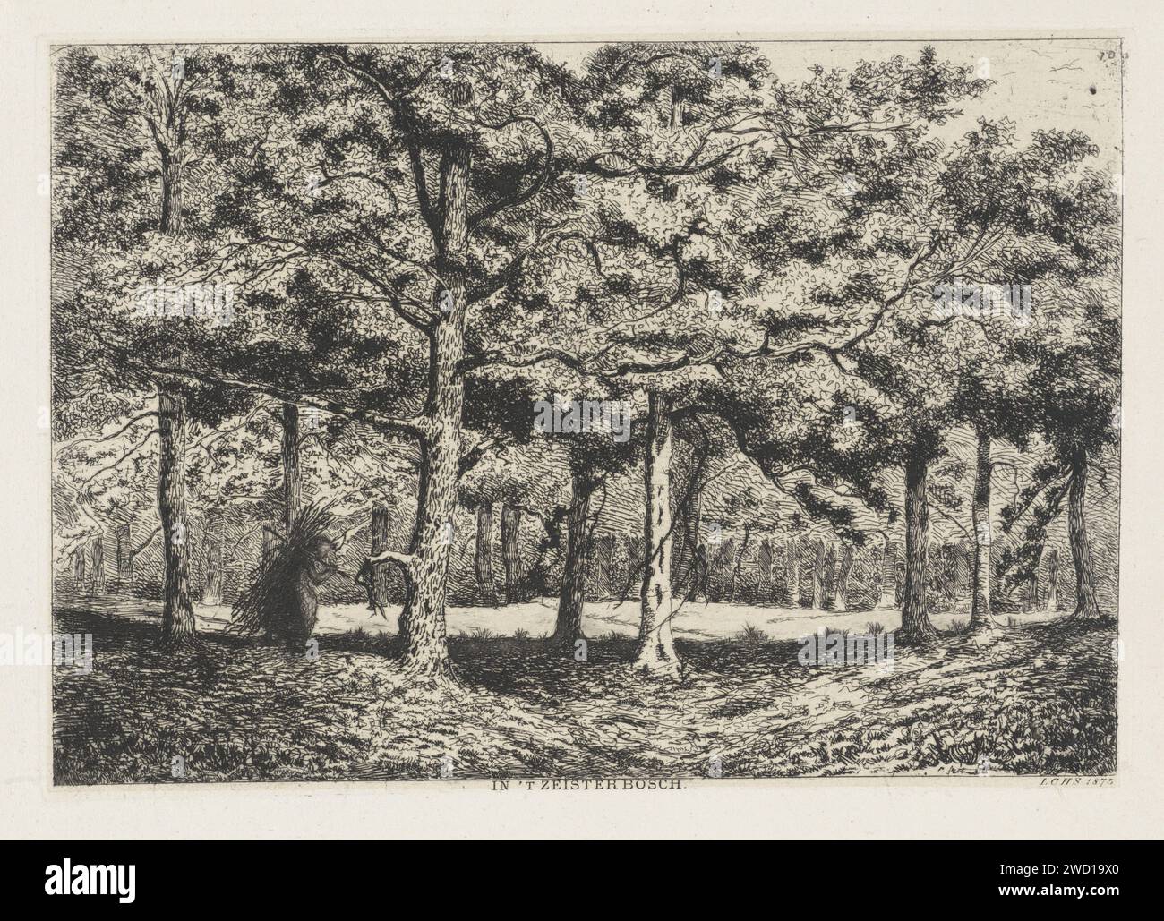 Foresta con Sprokkelaarster, Louis Charles Hora Siccama, 1875 stampa Una donna cammina con una grande foresta di diramazioni sul retro attraverso la foresta vicino a Zeist. Al centro c'è uno spazio aperto. Raccolta di legni, raccolta di legni, raccoglitrice di legni Zeister Bos Foto Stock