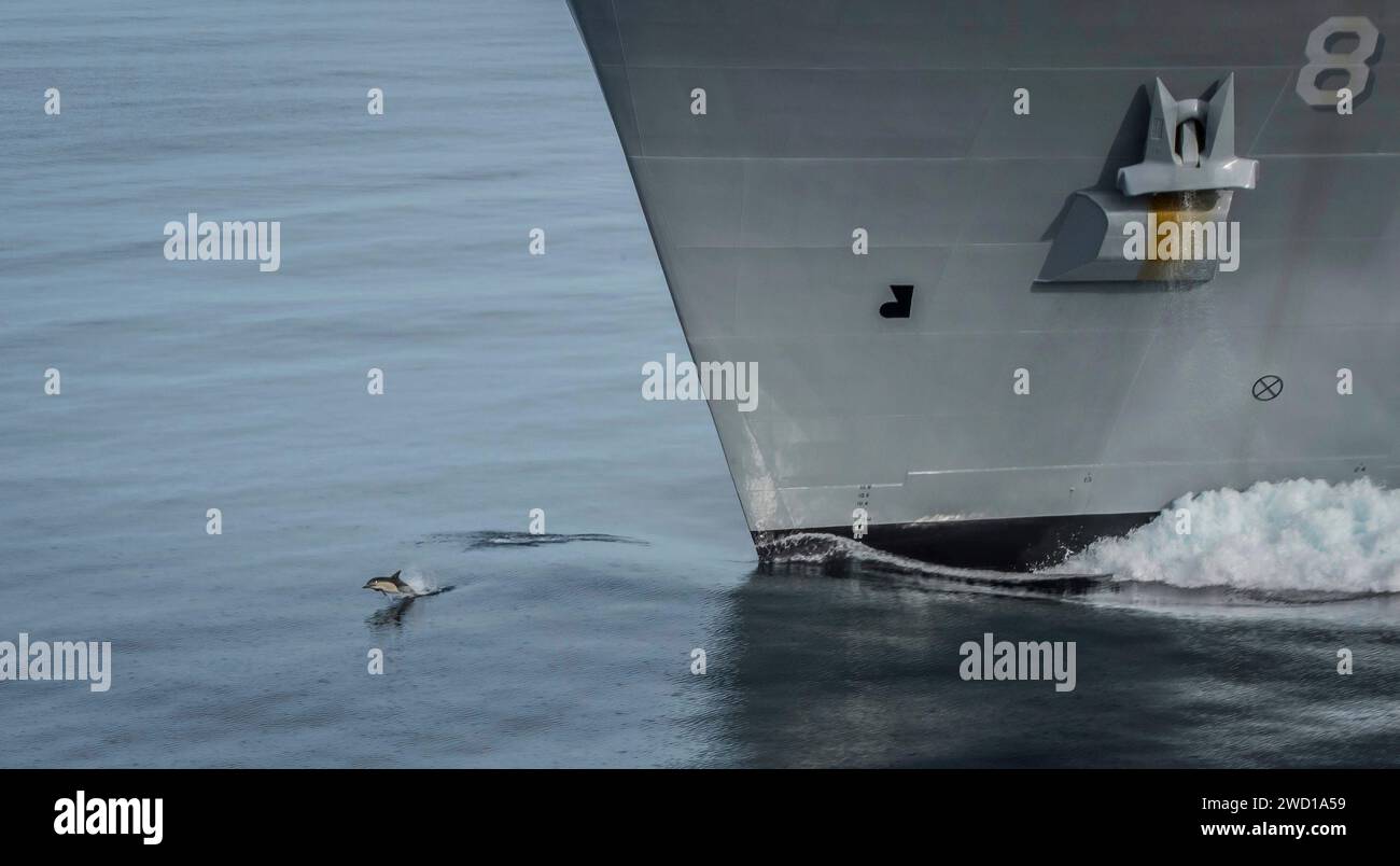 Un delfino salta sulla prua della nave da carico e munizioni USNS Wally Schirra. Foto Stock