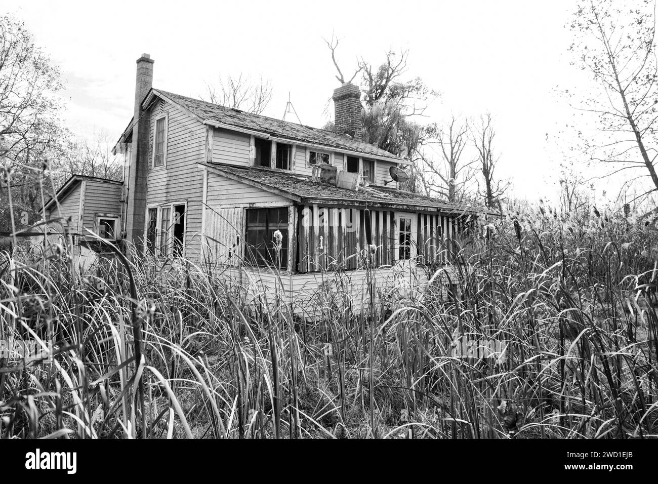 Un giardino sovradimensionato circonda una casa abbandonata e deserta Foto Stock