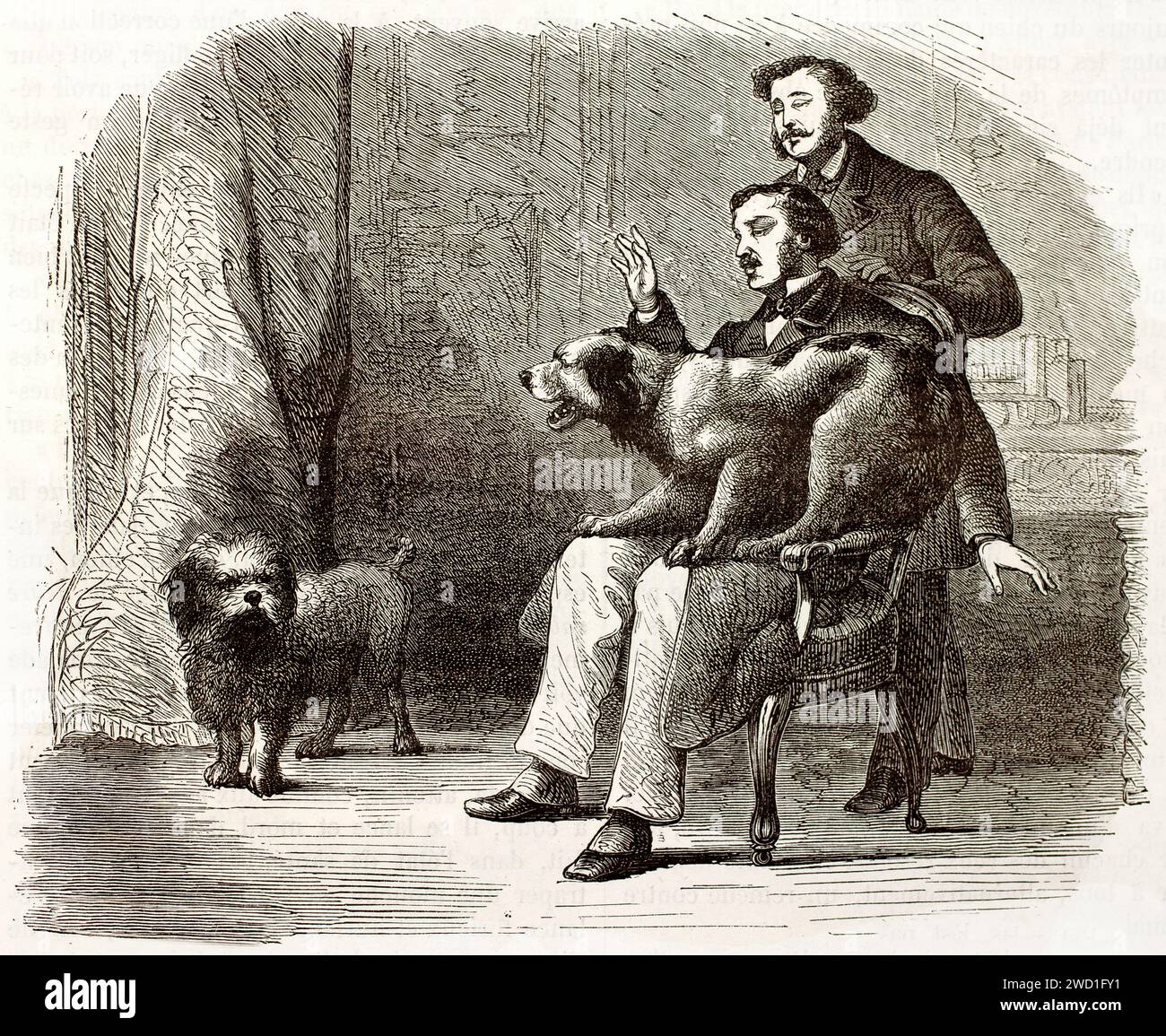 Un cane infuriato che ringhia in braccio al proprietario, sorpreso da un altro cane dietro. Il linework espressivo del 1878 mostra una tensione domestica dinamica. Foto Stock