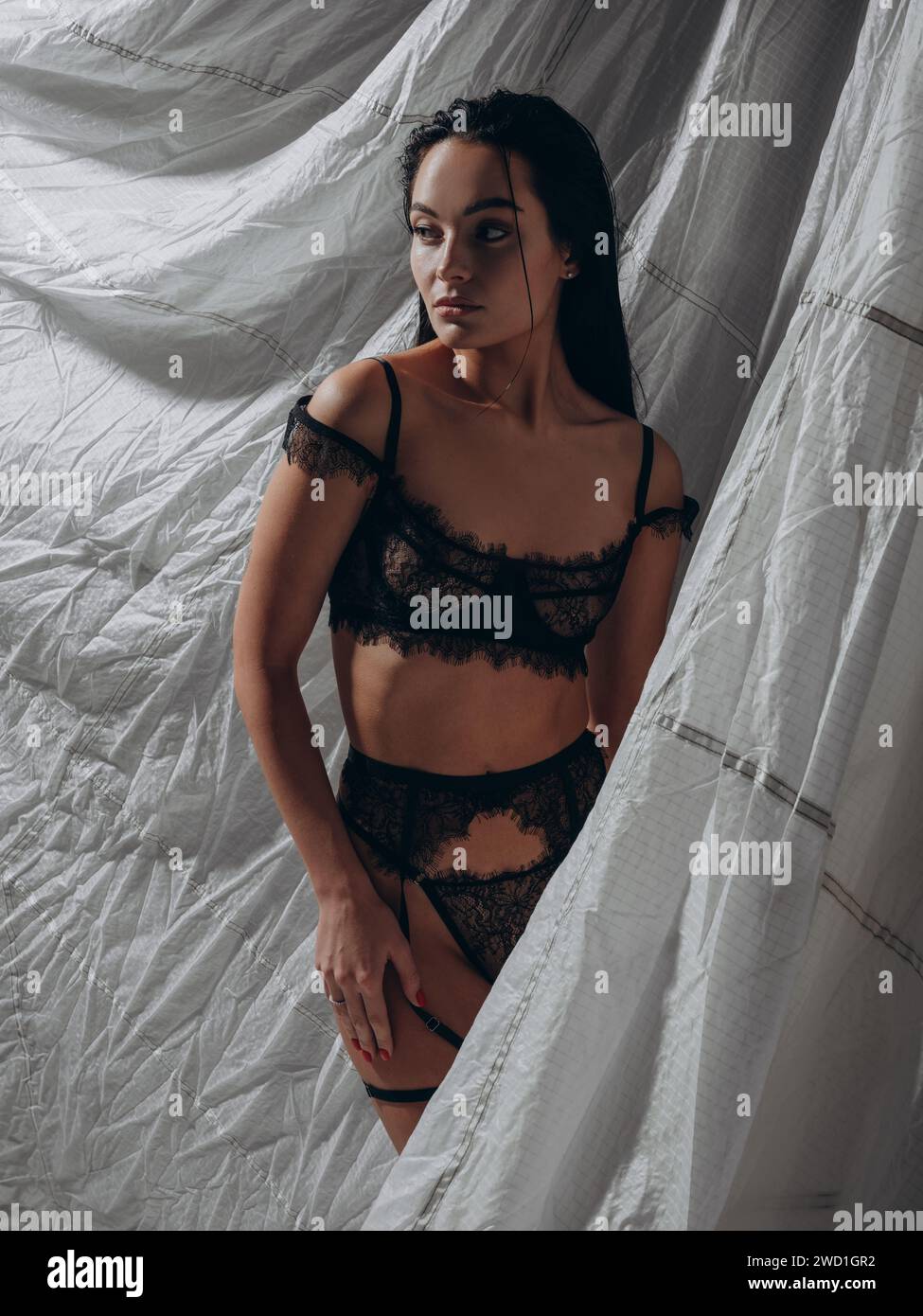 Giovane donna bruna sexy che posa in lingerie lacy Black e cintura con sospensioni in studio scuro su sfondo grigio. Stile BDSM. Primo piano. Foto Stock