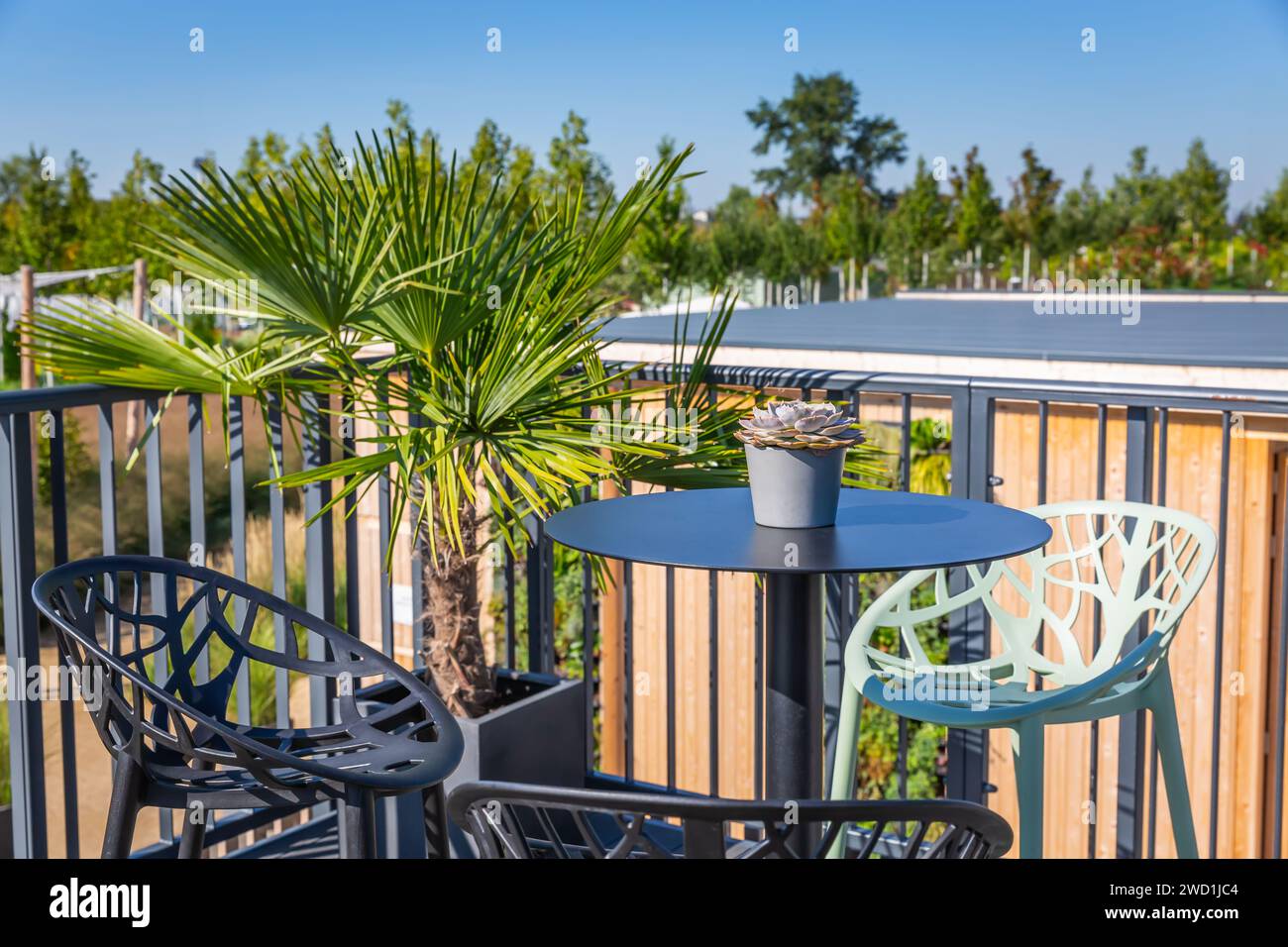 Area salotto e relax sul tetto di una moderna casa cittadina con piante verdi Foto Stock