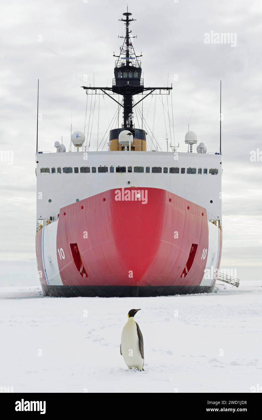 Un pinguino imperatore si pone davanti alla Guardia Costiera Cutter Polar Star a McMurdo Sound, Antartide. Foto Stock